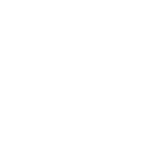 A black and white pie chart with four segments.