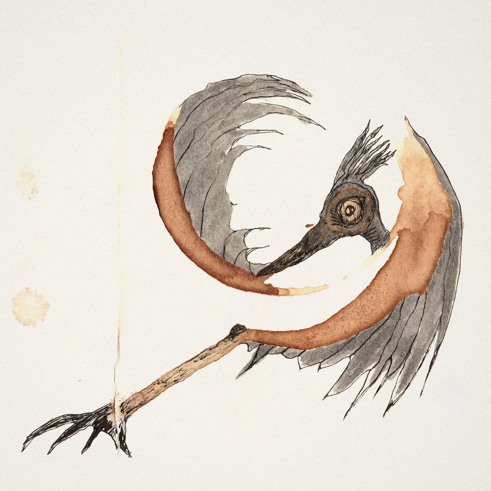 Dessin au café d'un pélican avec un long bec et de grandes ailes, posé sur une branche.