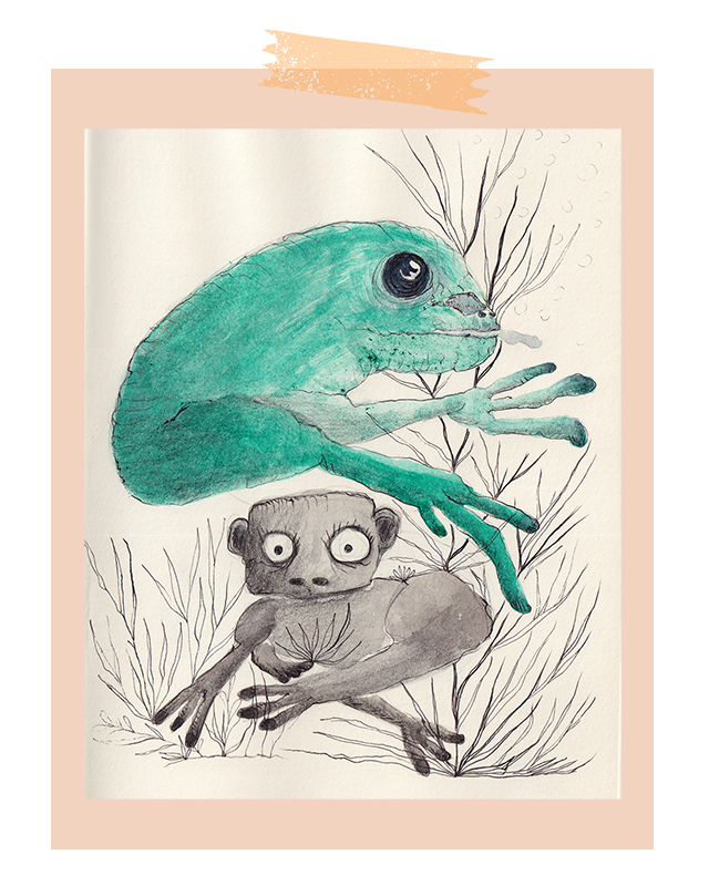 deux étranges caméleons dessinés à l'encre
