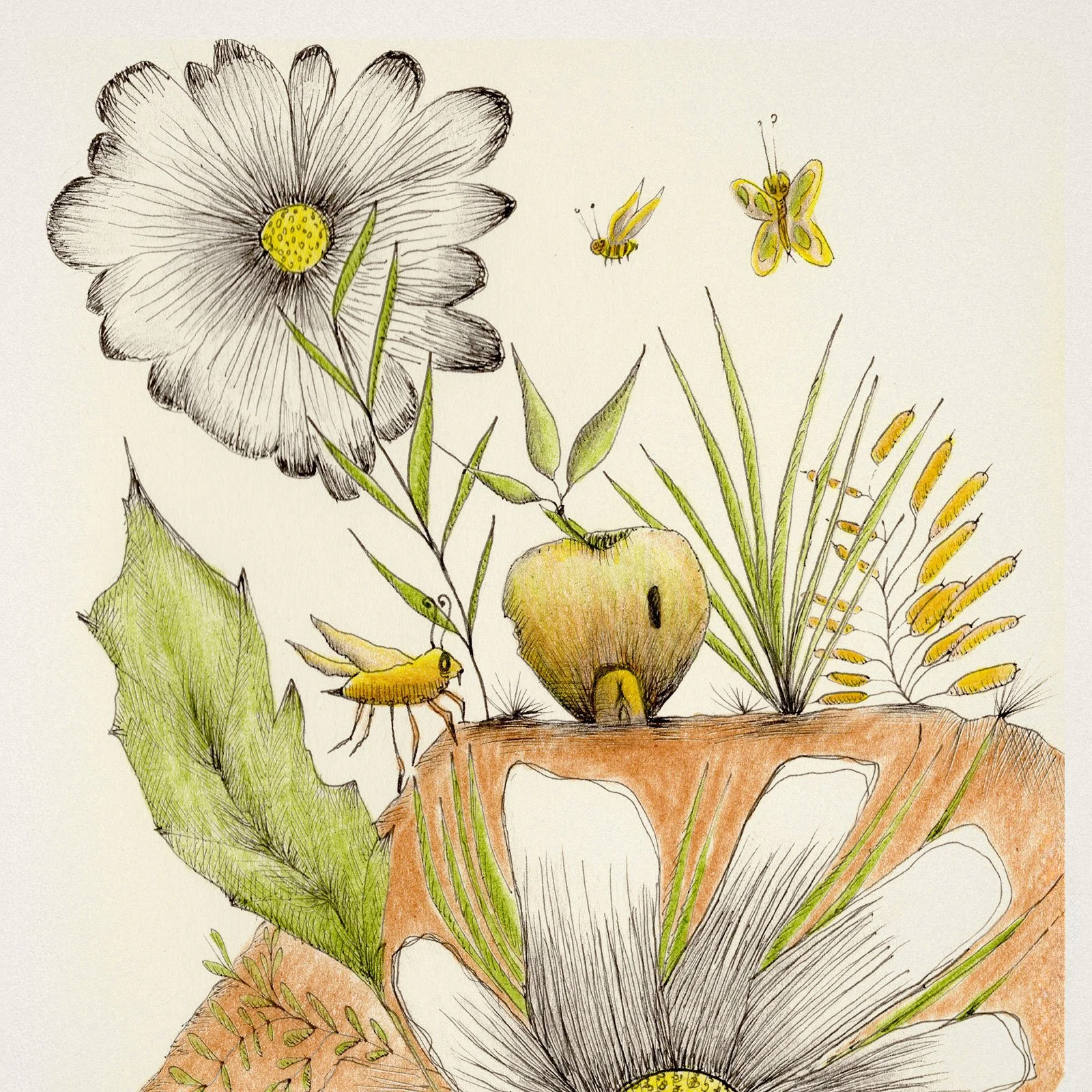 Une illustration botanique de fleurs, feuilles, insectes et fruits avec des couleurs pastel et des détails délicats.