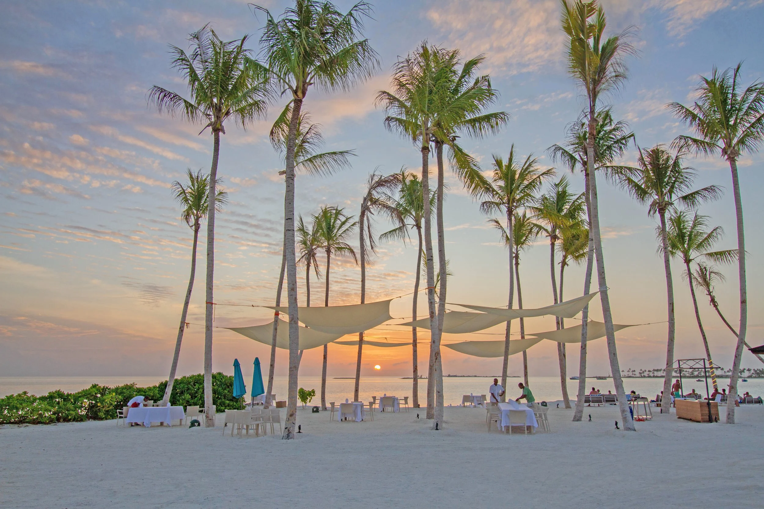 Joy Island - Palm Beach.jpg