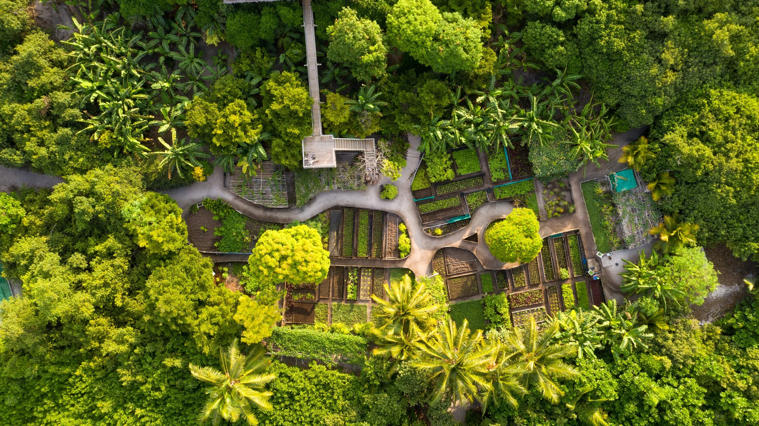 Soneva Fushi - Organic Gardens .jpg