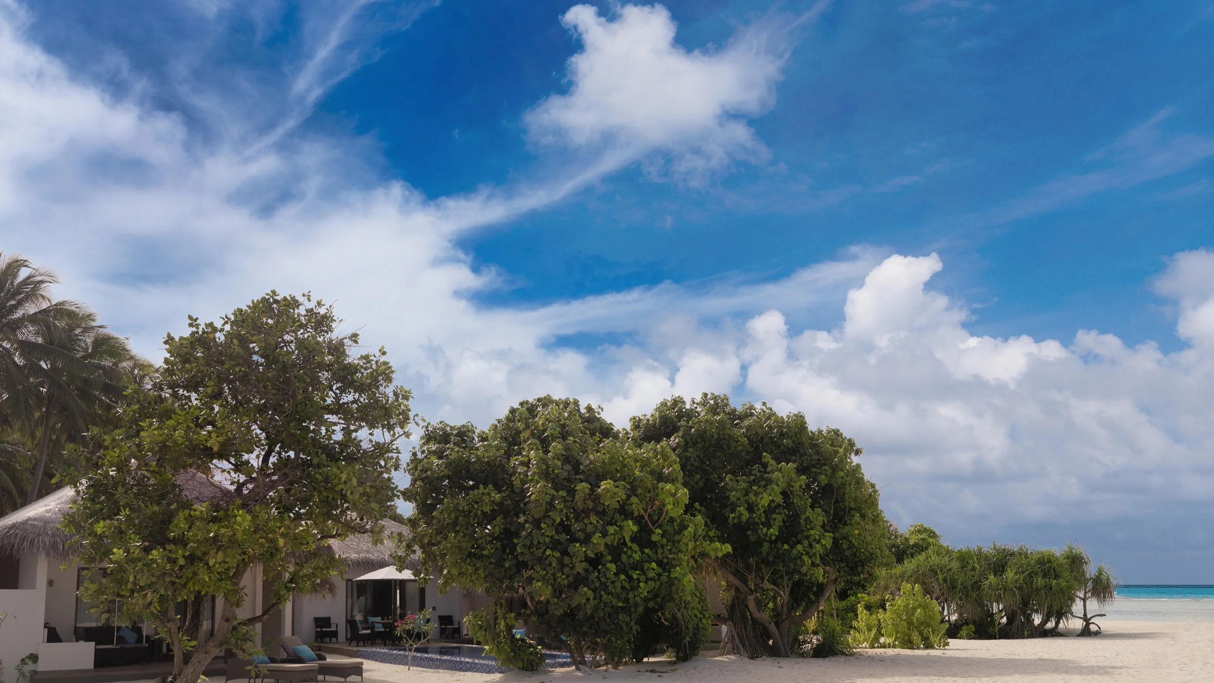 Cocoon Suite Beach_edited.jpg