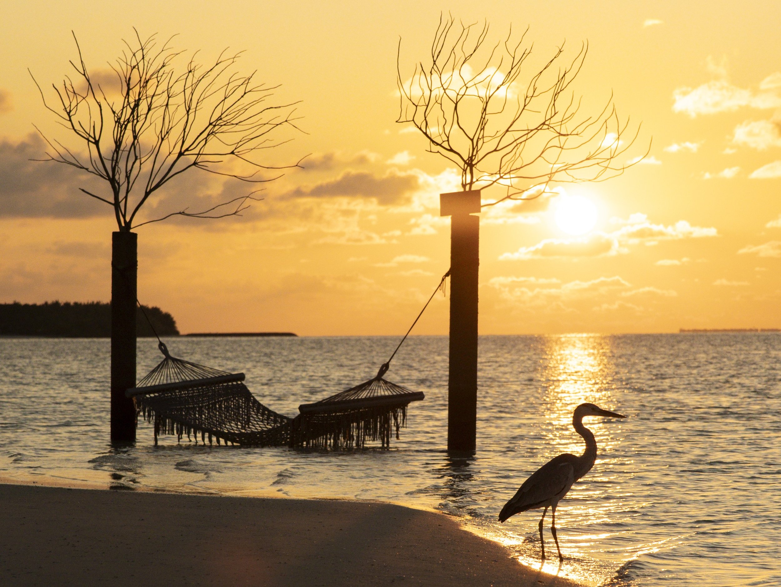 sunset at the beach.jpg