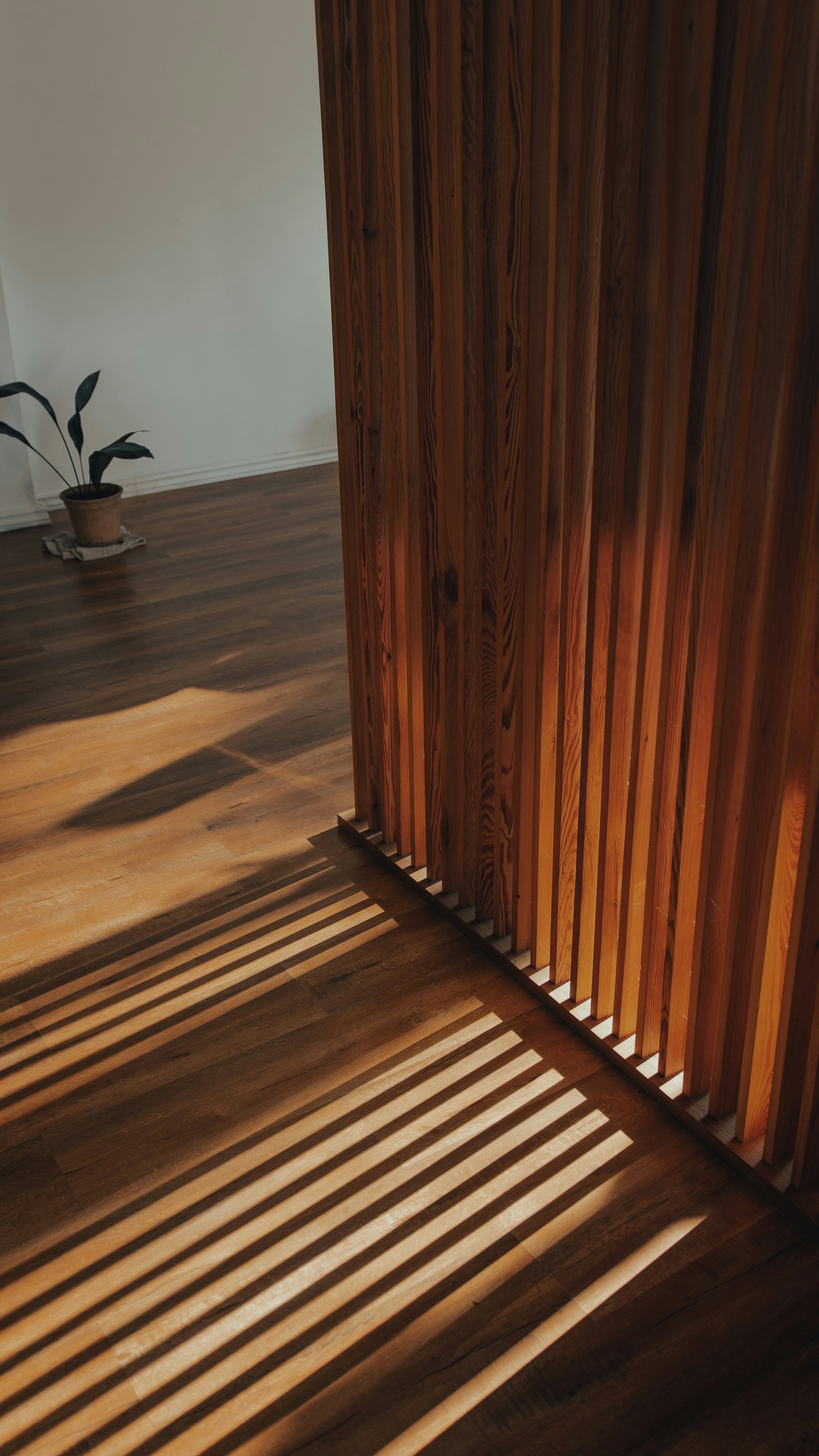 Sunlight streaming through wooden slats creates striped shadows on a wooden floor in a room with a potted plant in the background.
