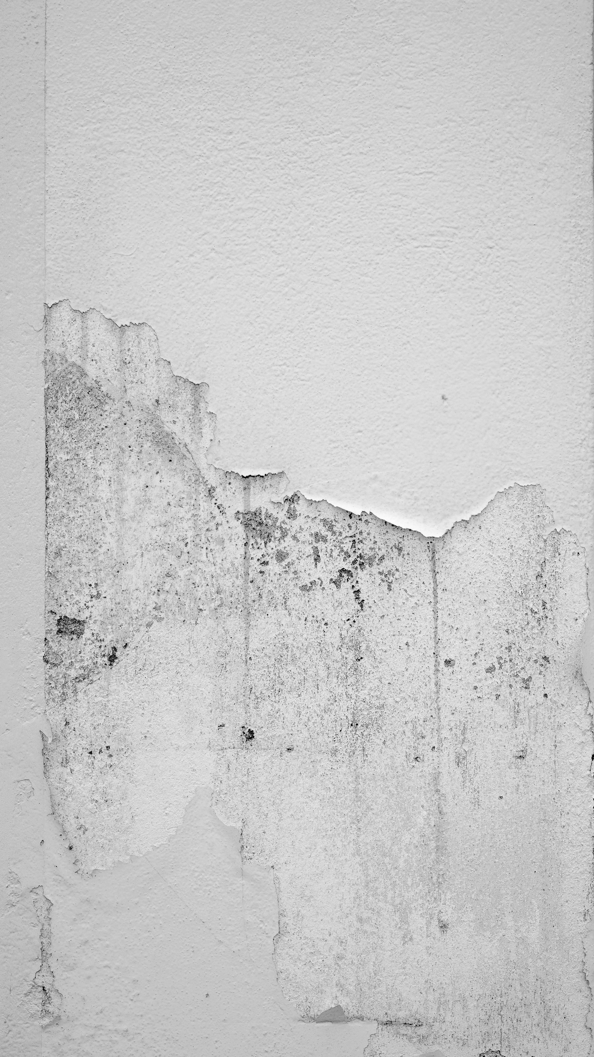 Peeling paint and mold on an interior wall.