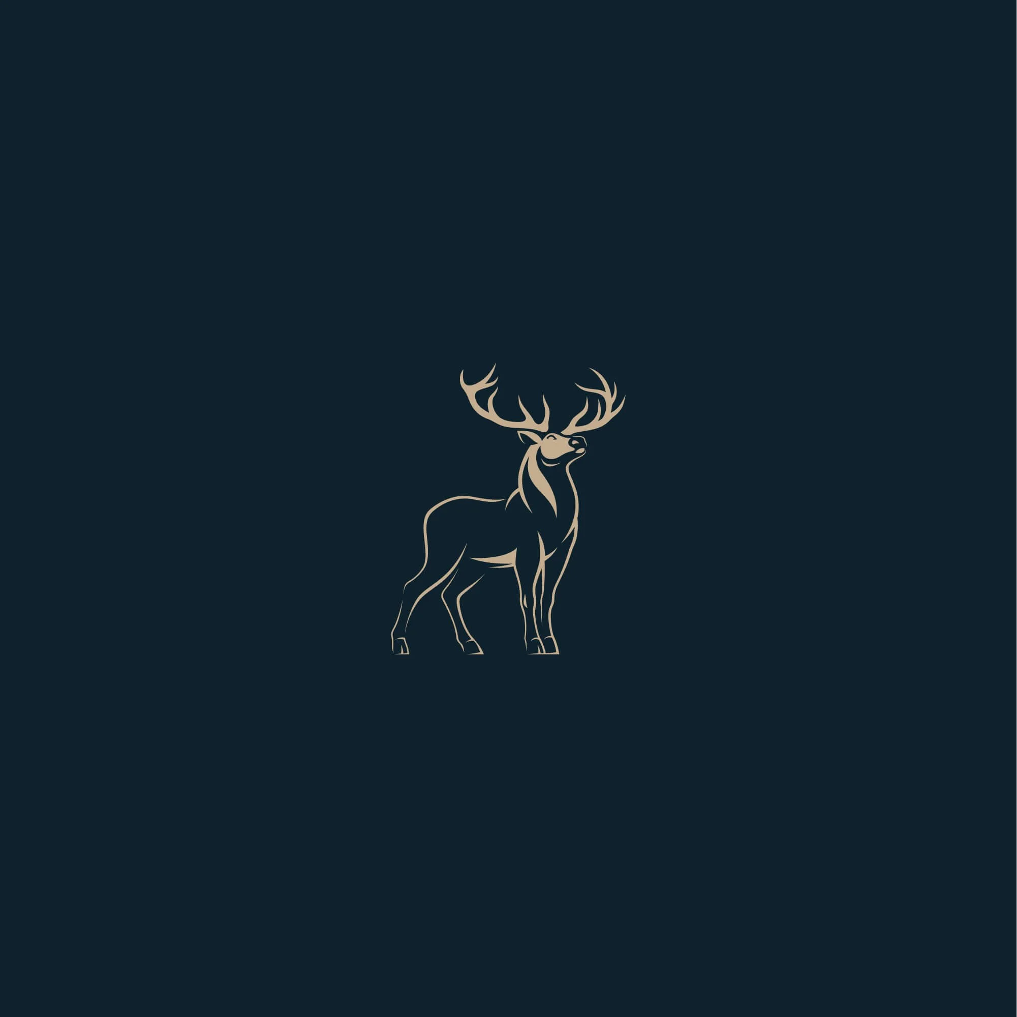 AGN Highlands accounting firm stag logo design