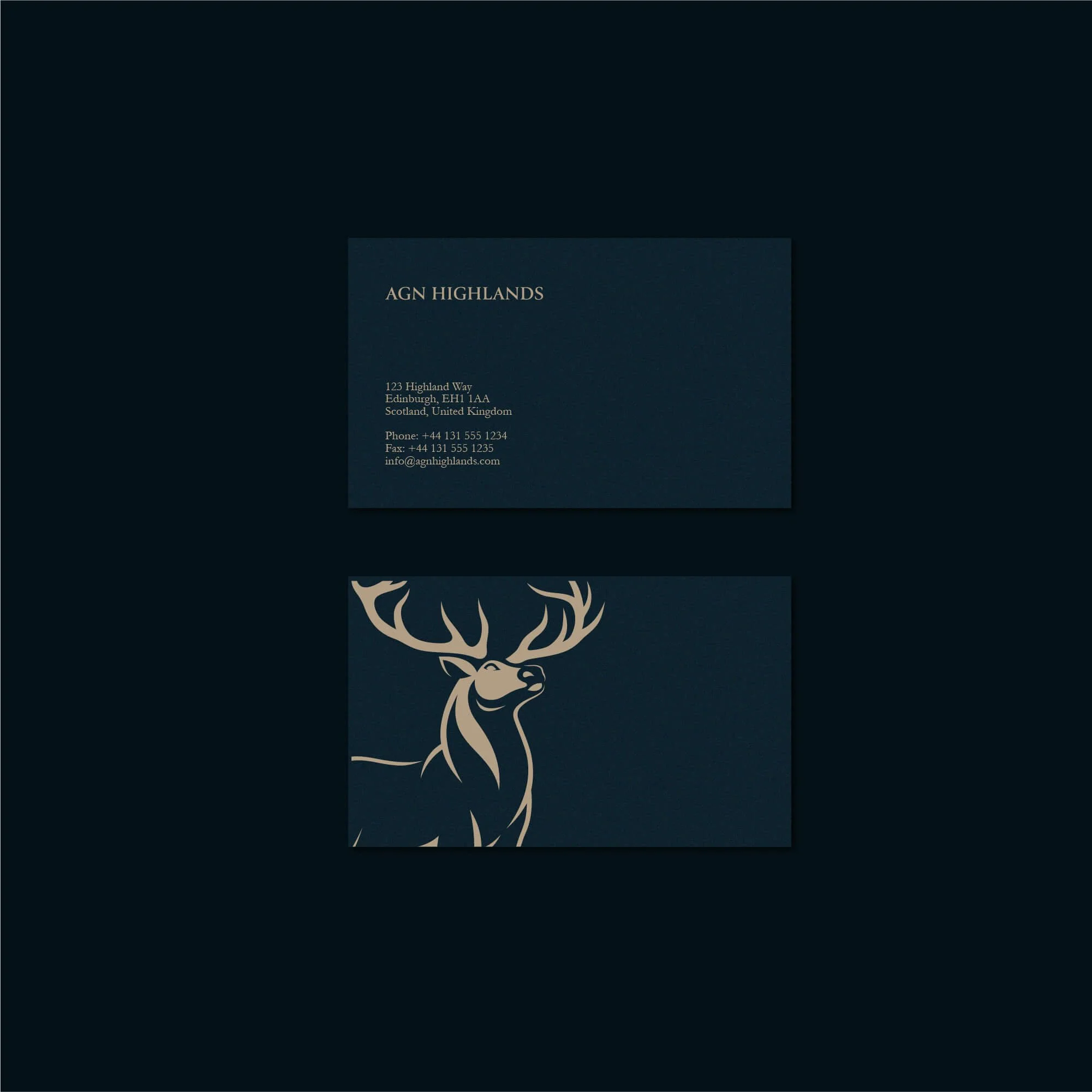 AGN Highlands accounting firm business cards design