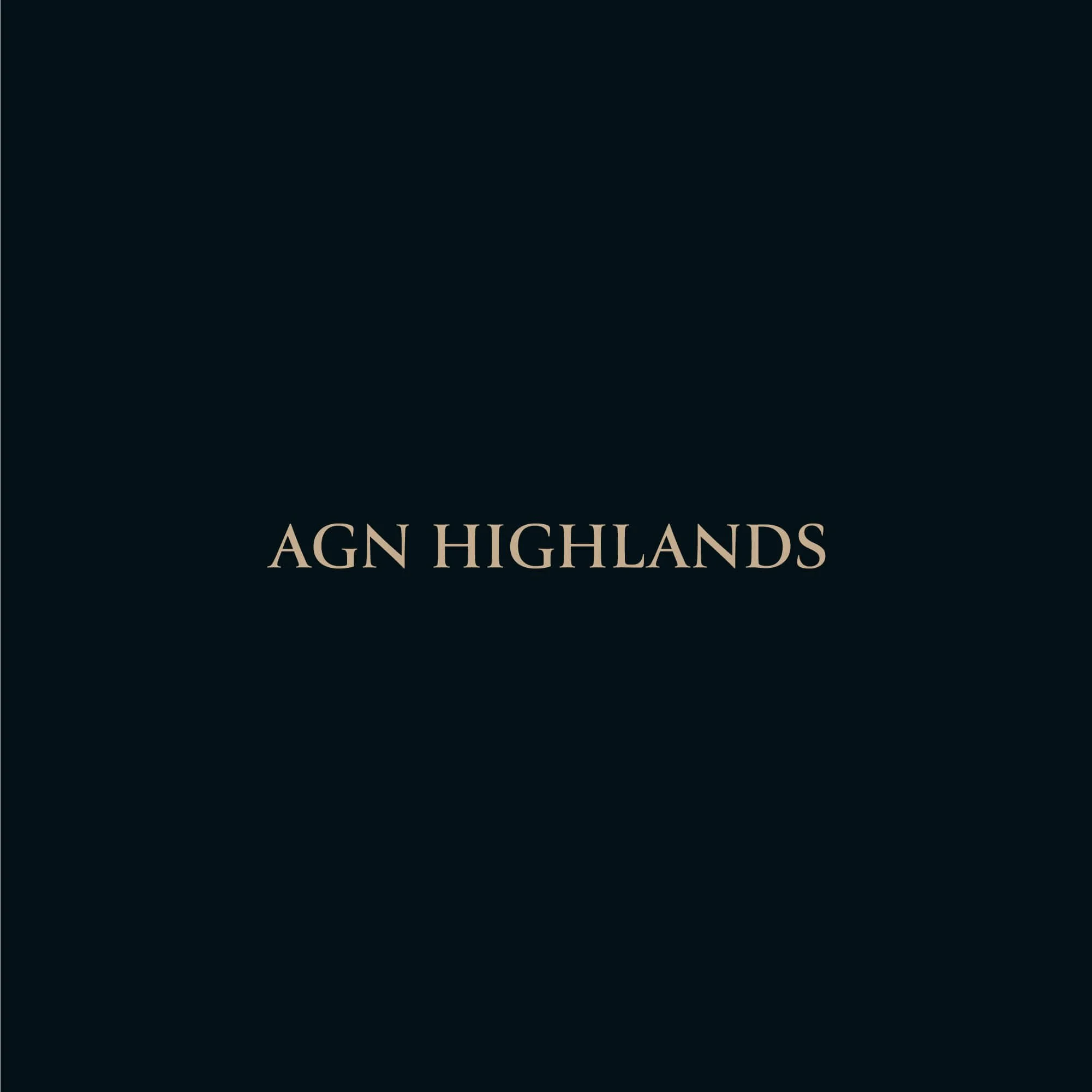 AGN Highlands accounting firm wordmark logo design