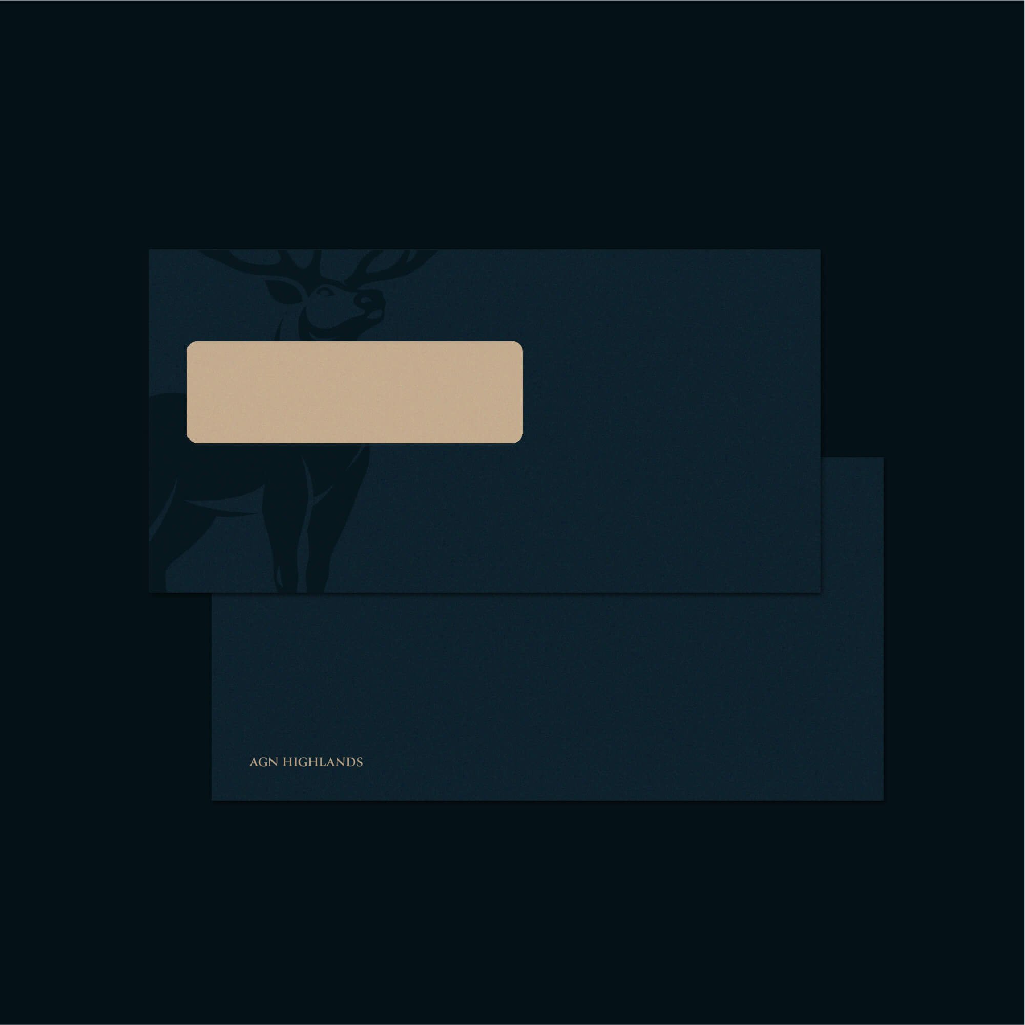 AGN Highlands accounting firm dl enevlopes design