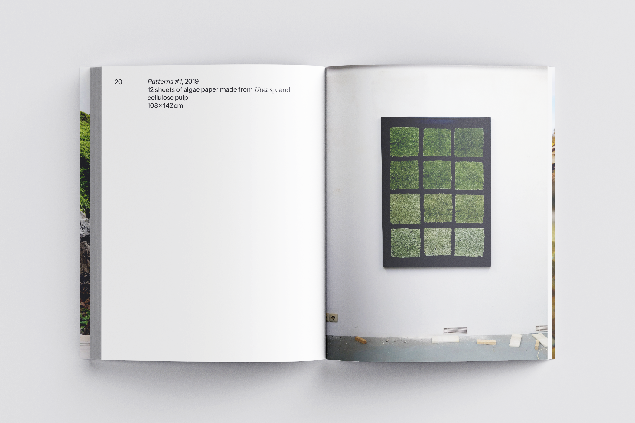 The Algae Paper