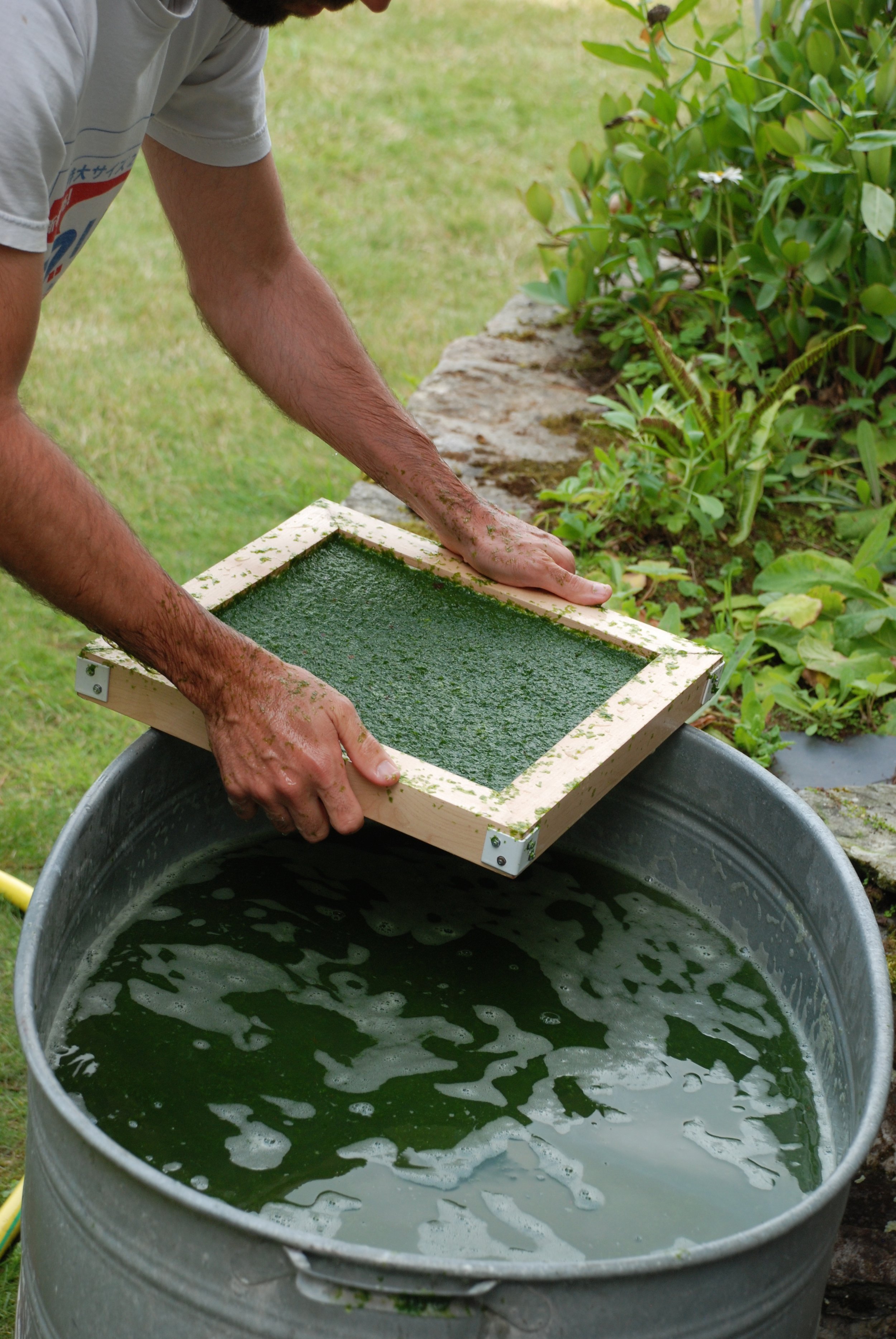 The Algae Paper