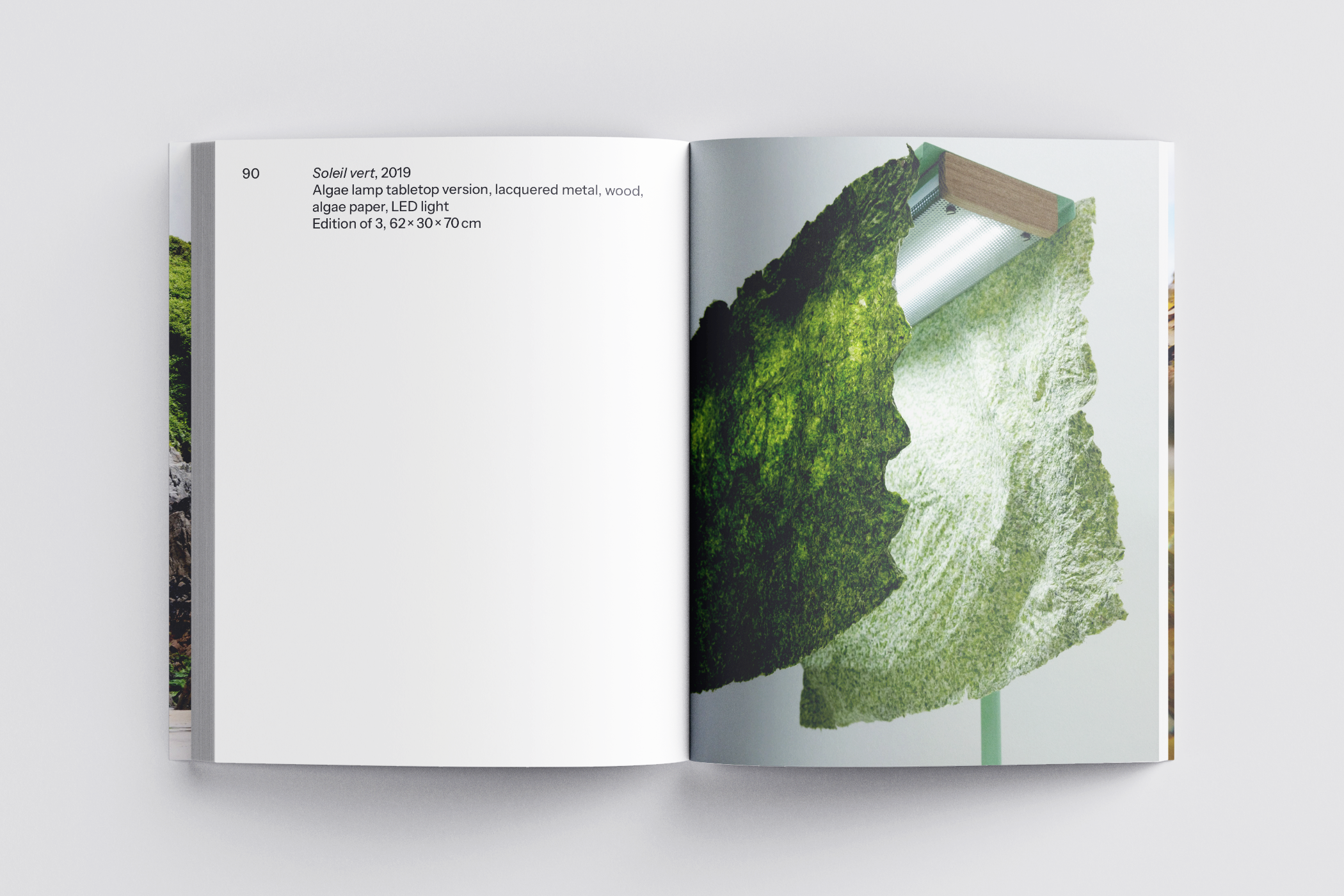 The Algae Paper