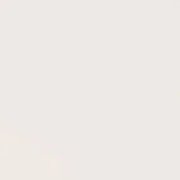 L'image est vide ou ne contient pas d'éléments visibles.