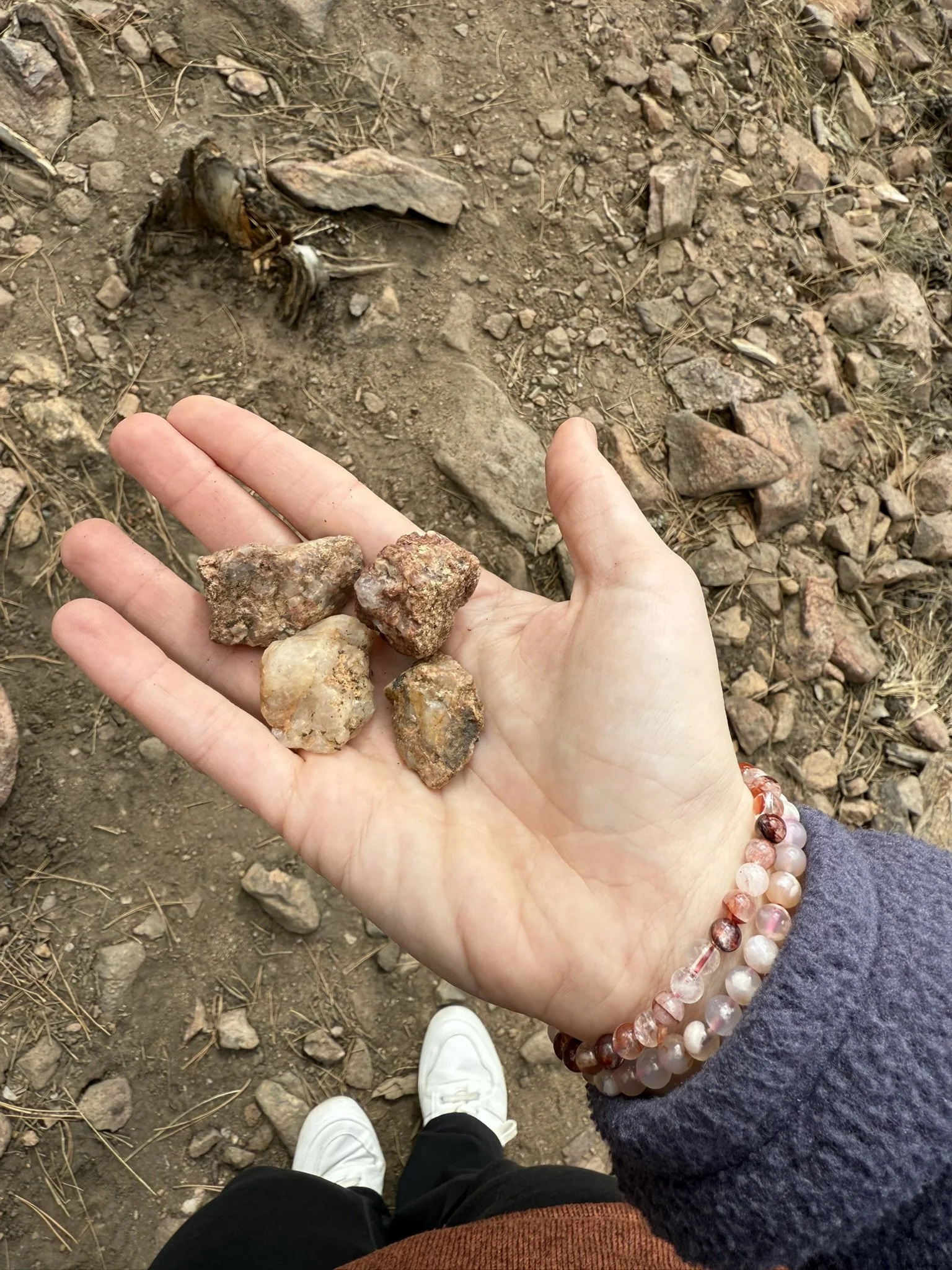 Pretty finds in Colorado - March