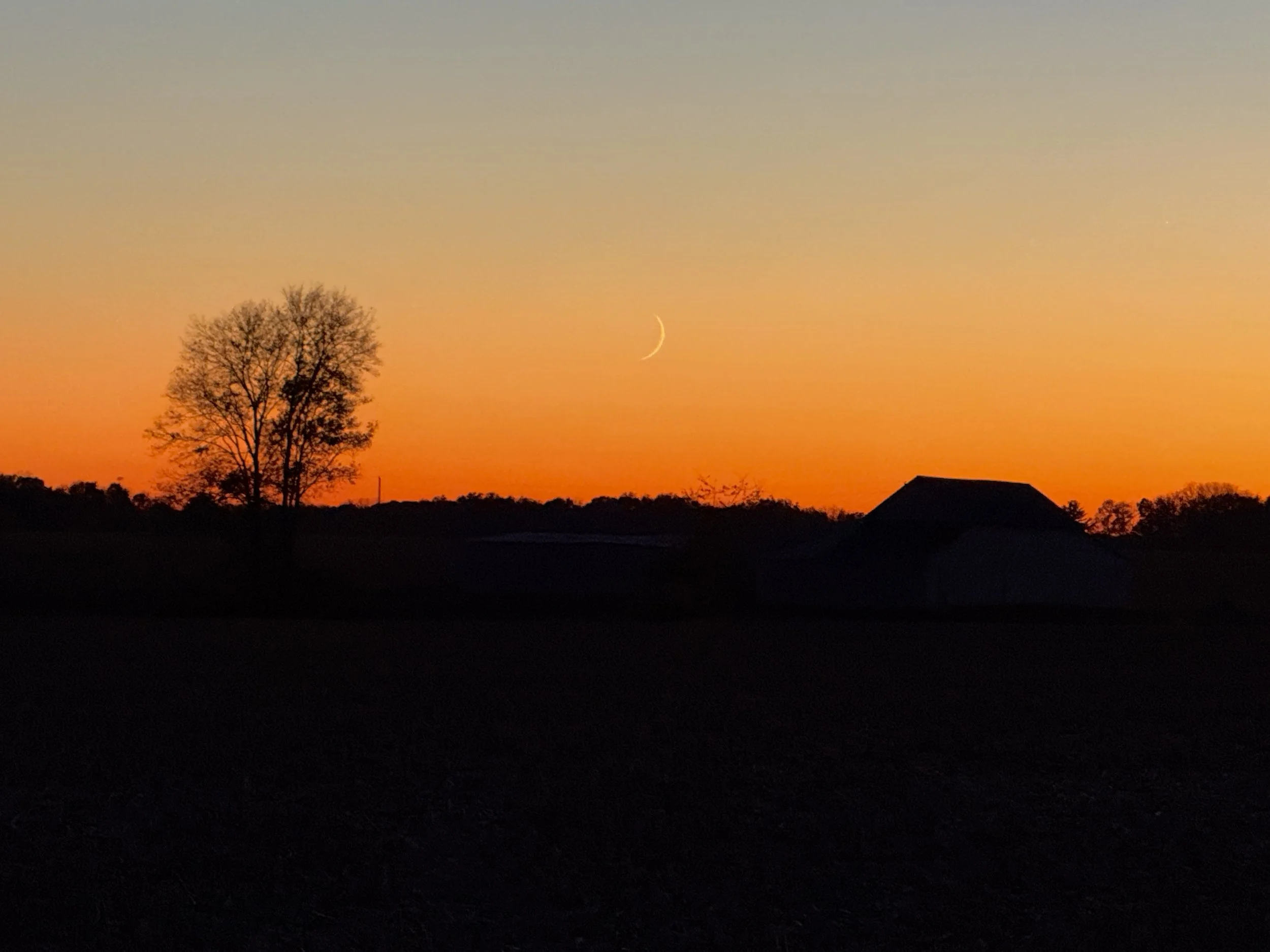 Moonrise at Sunset, Indiana - November 