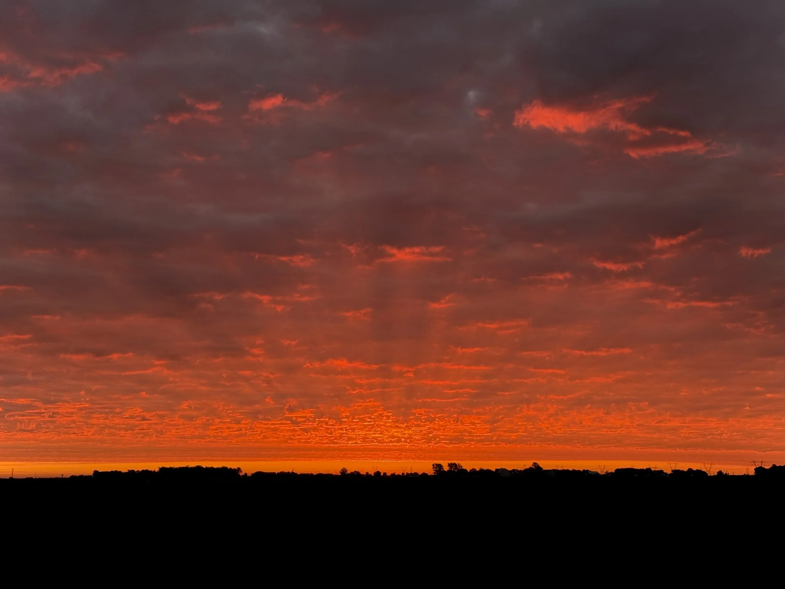 Indiana Sunrise: Stopped to watch on the side of the road on my way to my brother-in-law's house. 