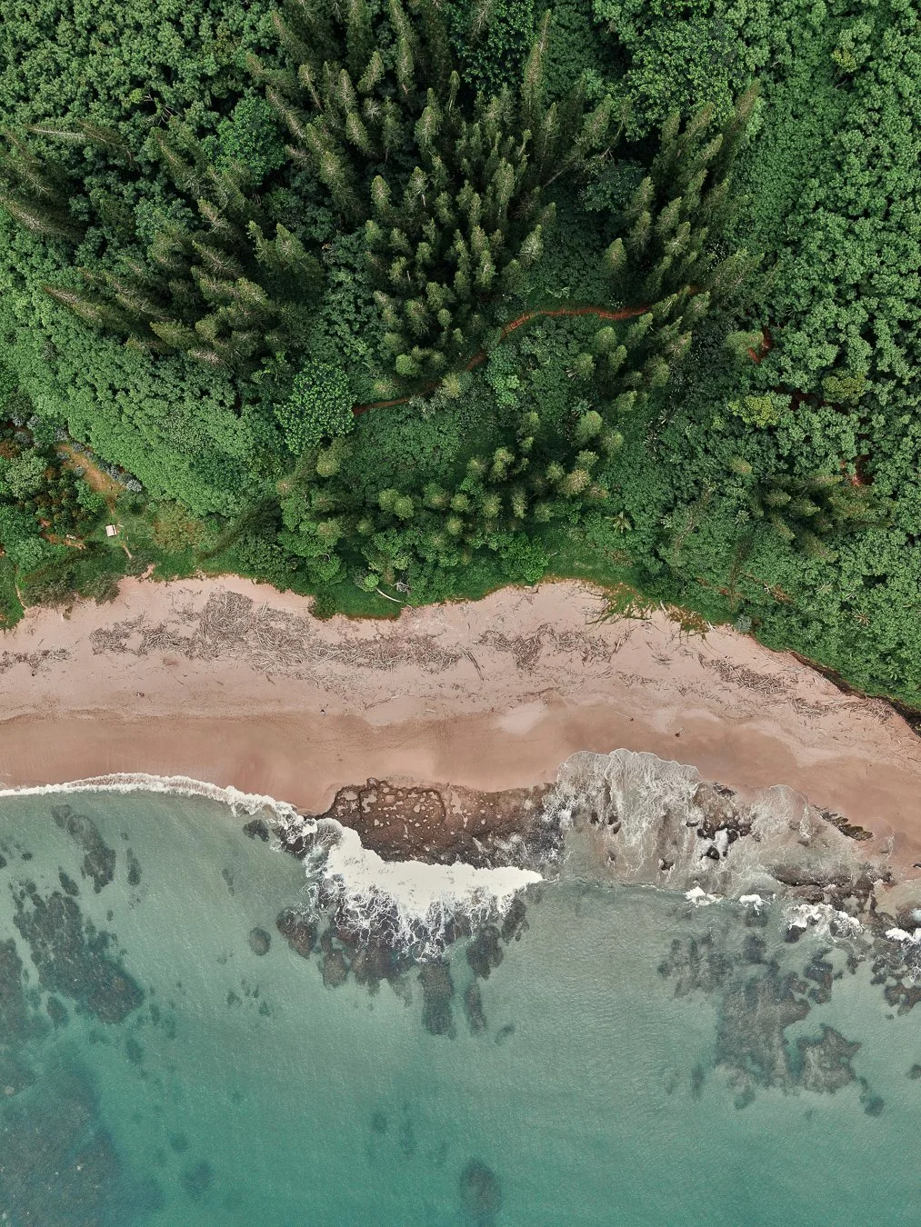 27022022-DJI_0195 vertical.jpg