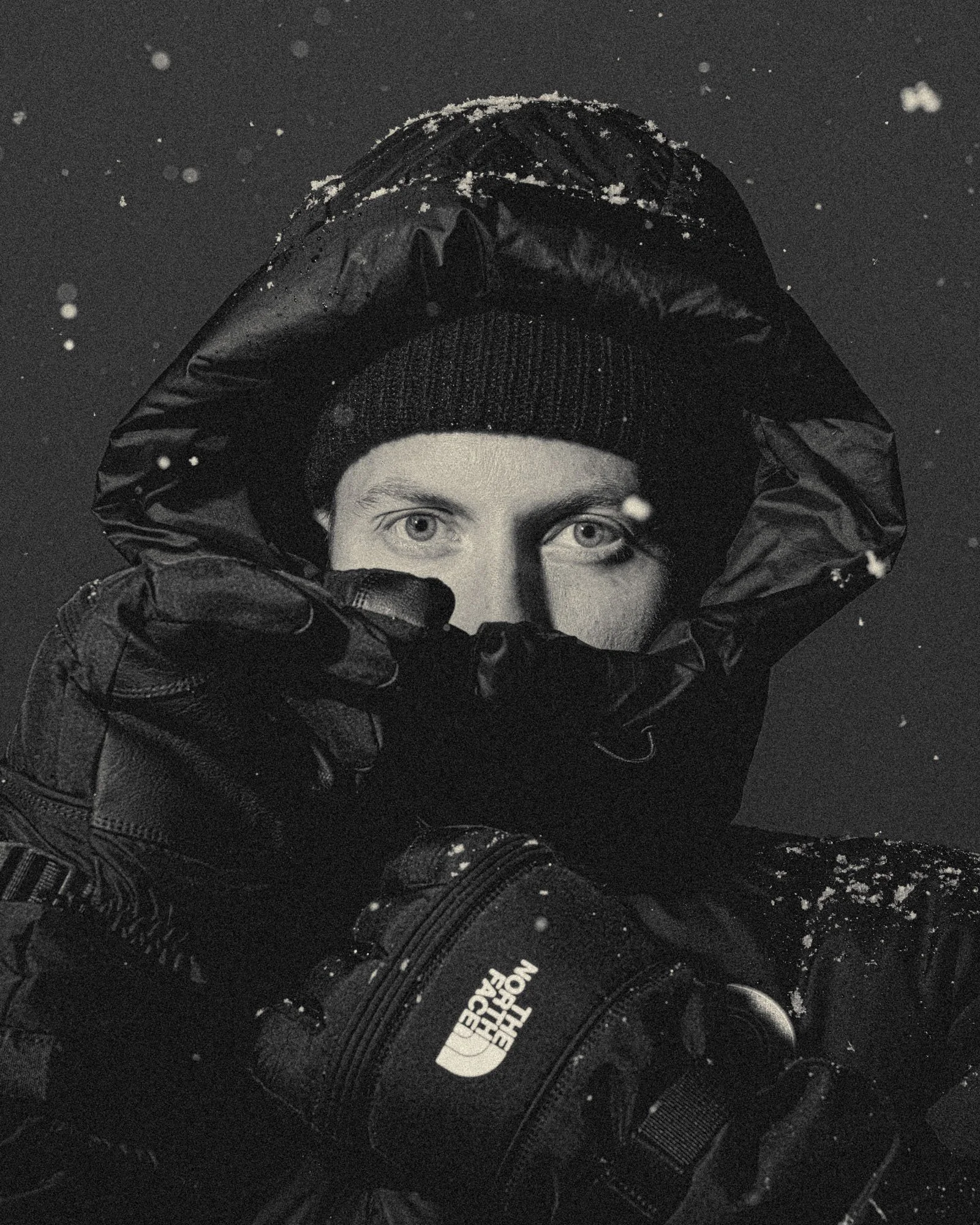 ANTARCTICA_BRAND_13.jpg