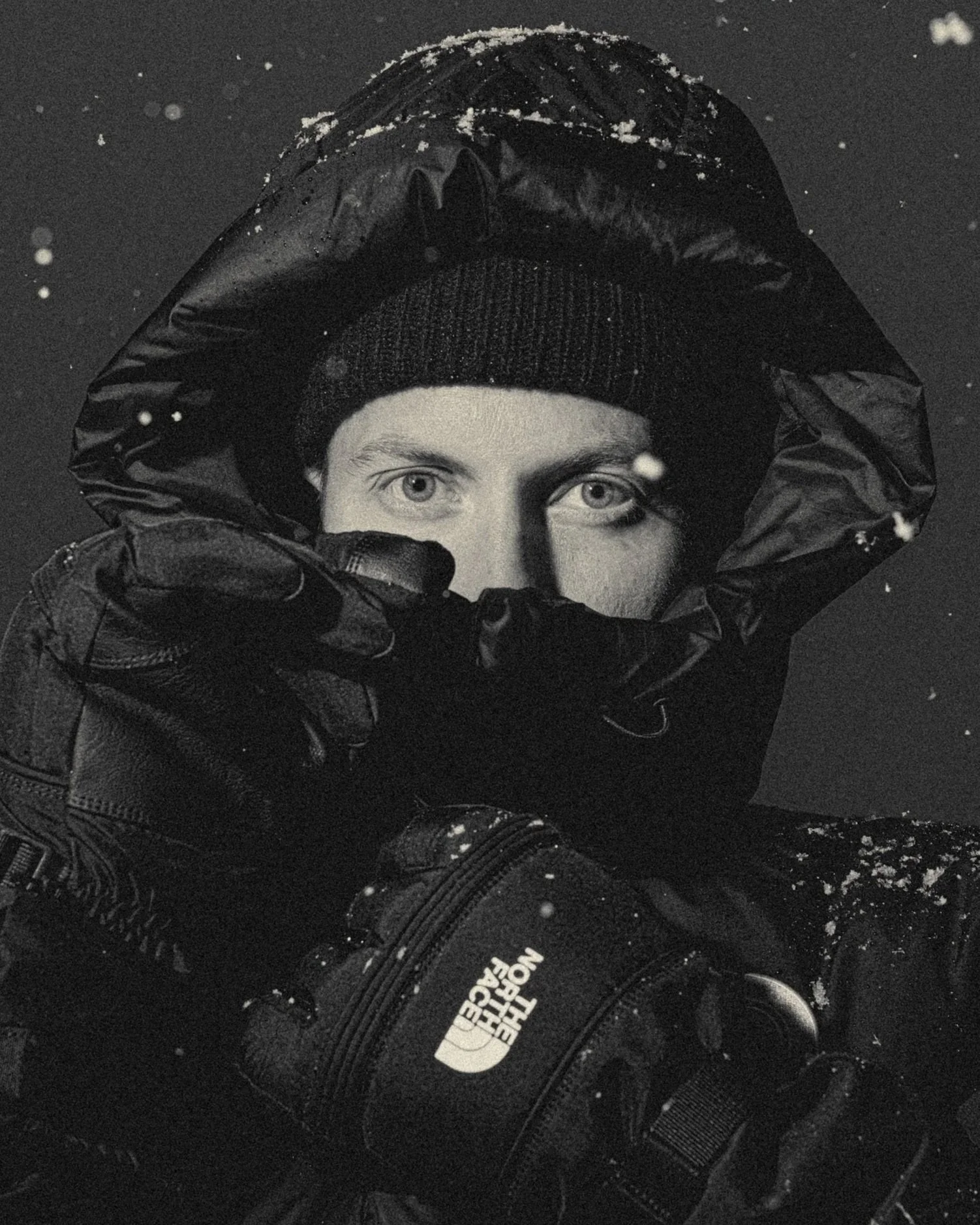 ANTARCTICA_BRAND_13.jpg
