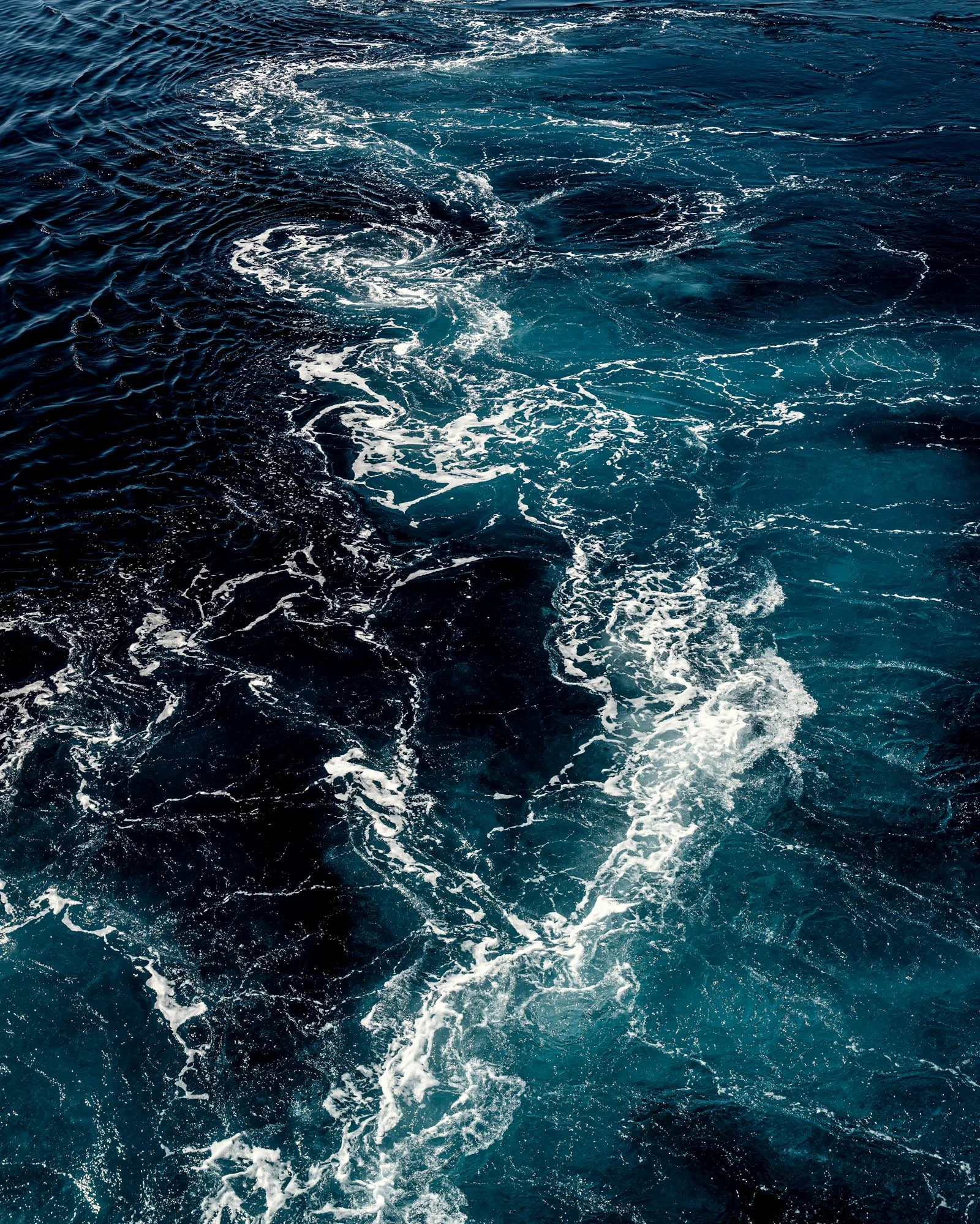 TEXTURES02 copy.jpg