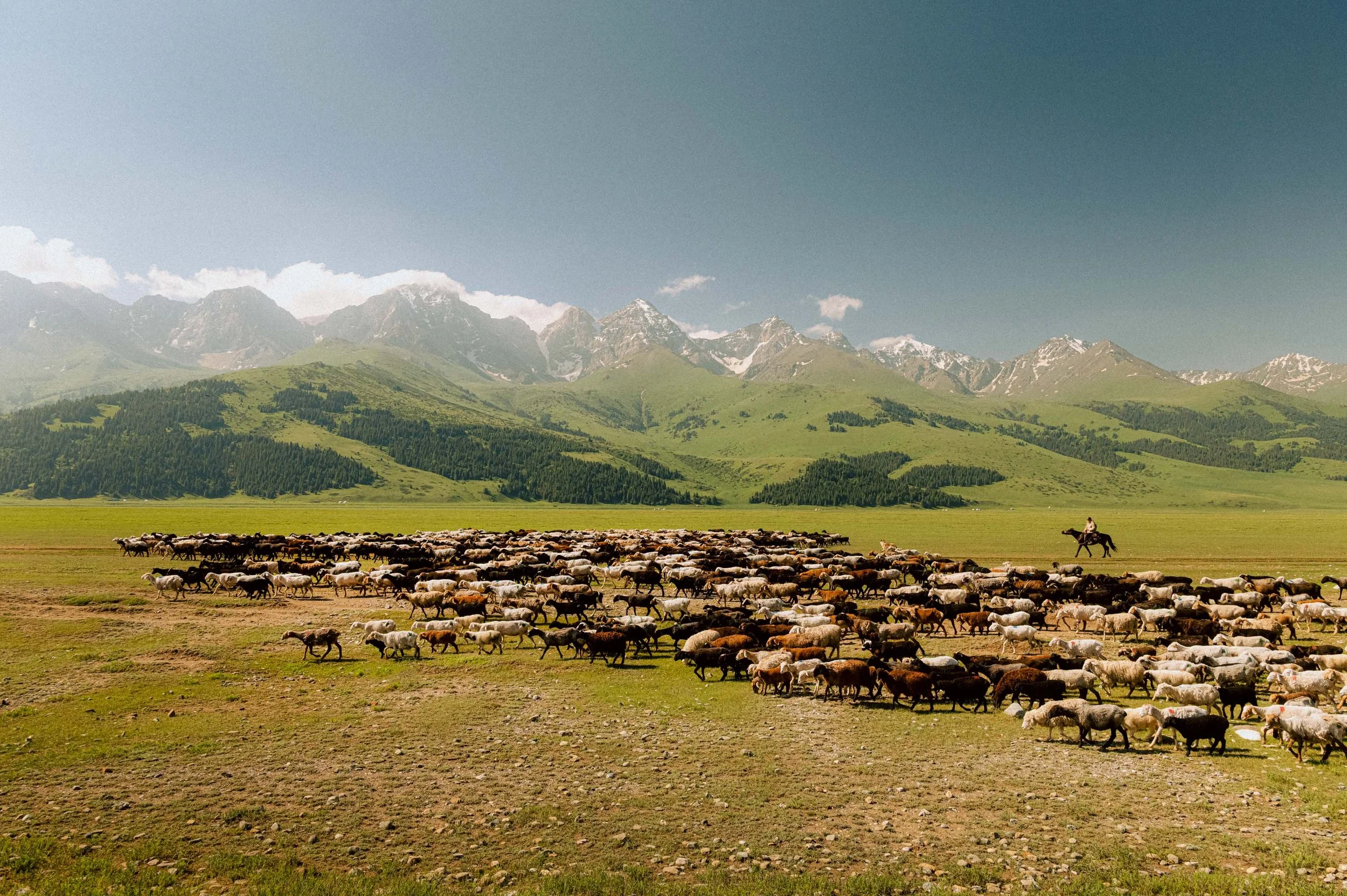 UZB_KYRG_ POSTABLE_058.jpg