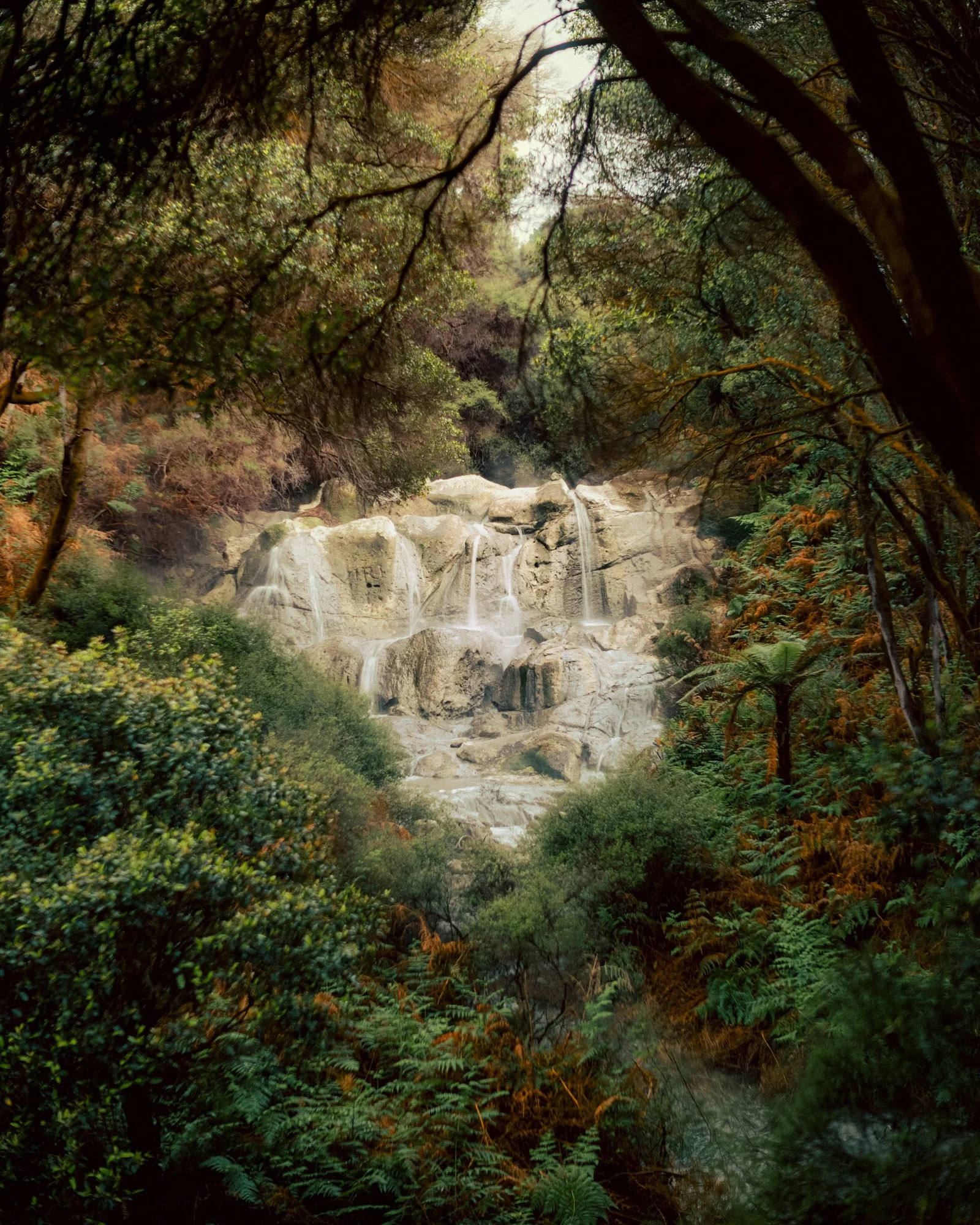 NZ_RAW_1672 copy (1).jpg