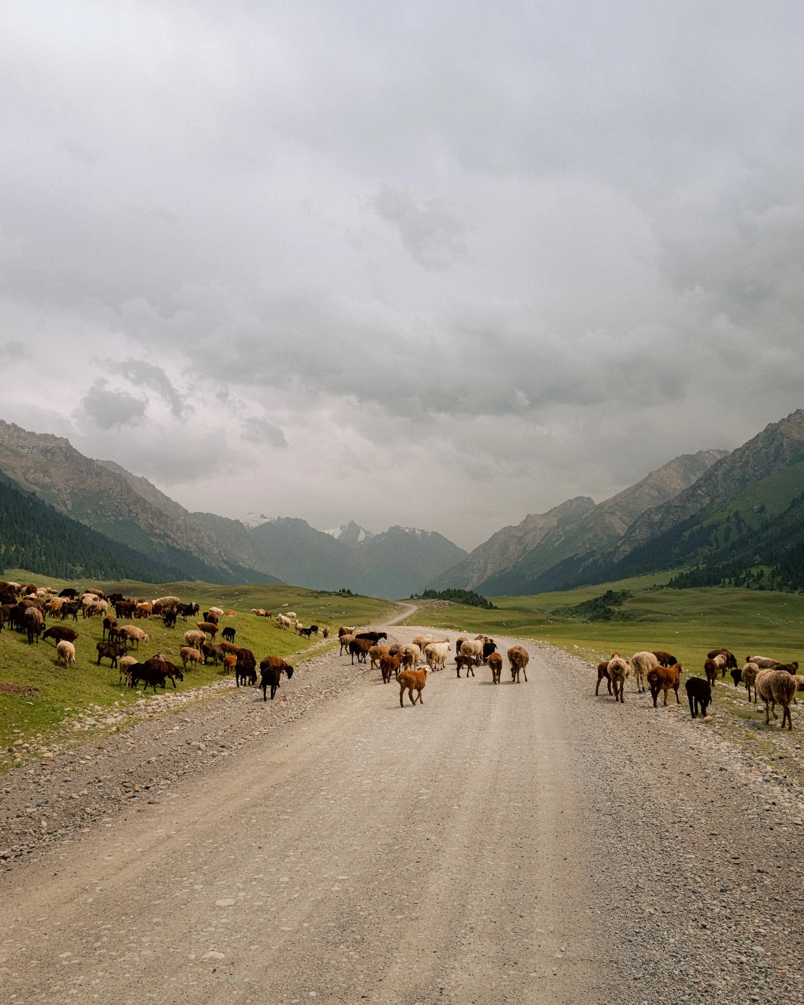 UZB_KYRG_ POSTABLE_089.jpg