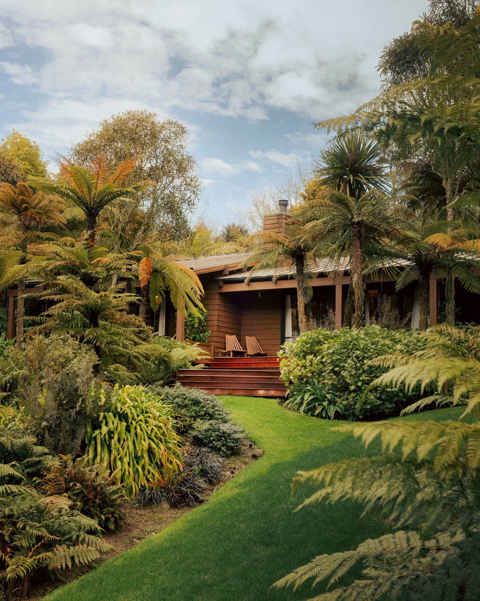 NZ_RAW_1394 copy.jpg