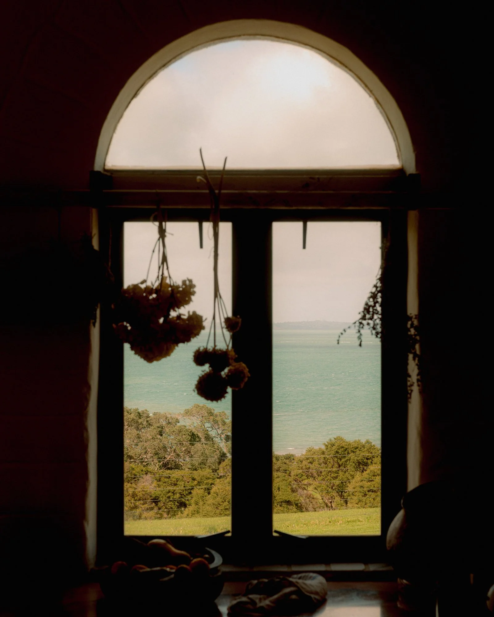 NZ_RAW_1931 copy.jpg