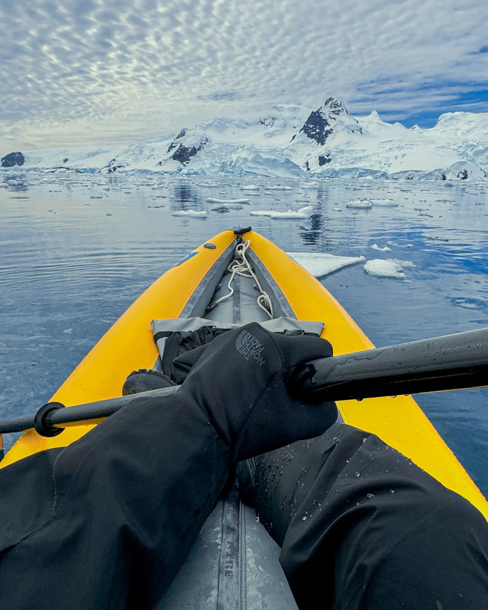 ANTARCTICA_BRAND_23.jpg