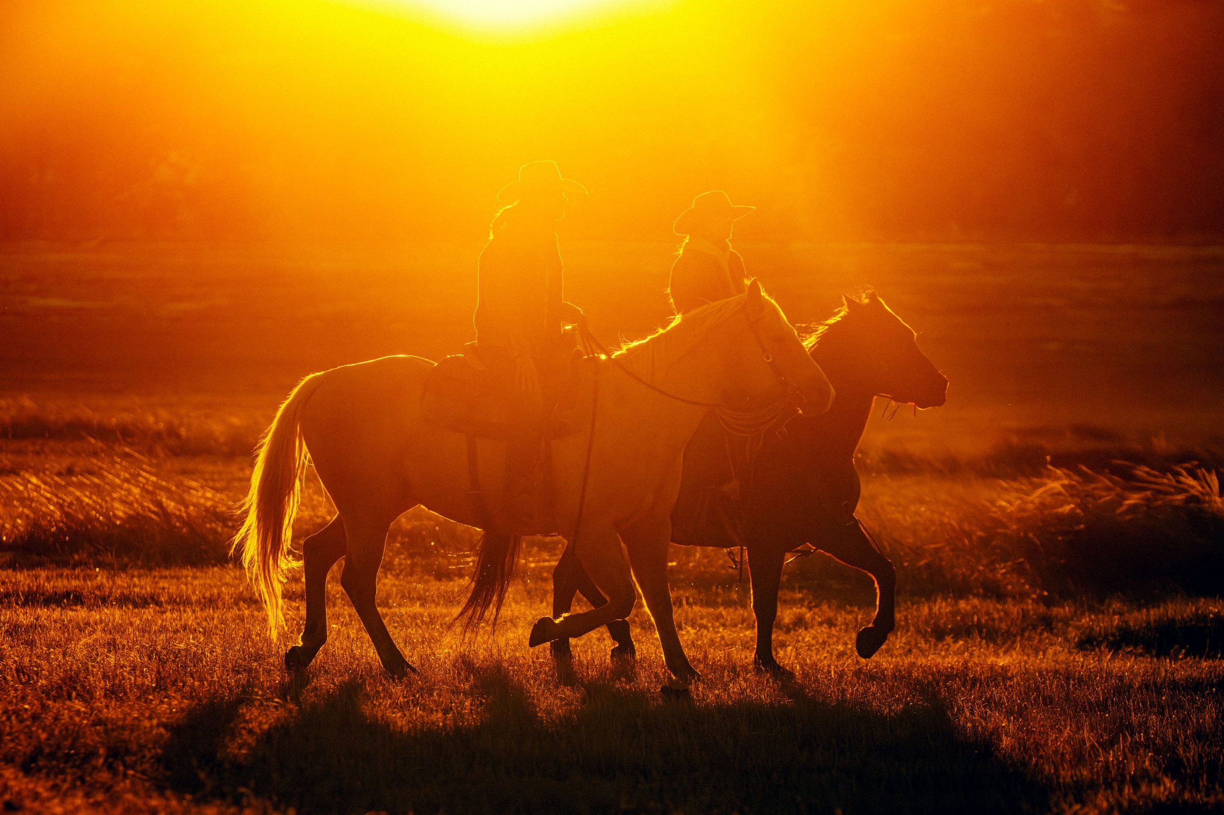 JS_FORA_BRUSH_CREEK_24_09 copy.jpg