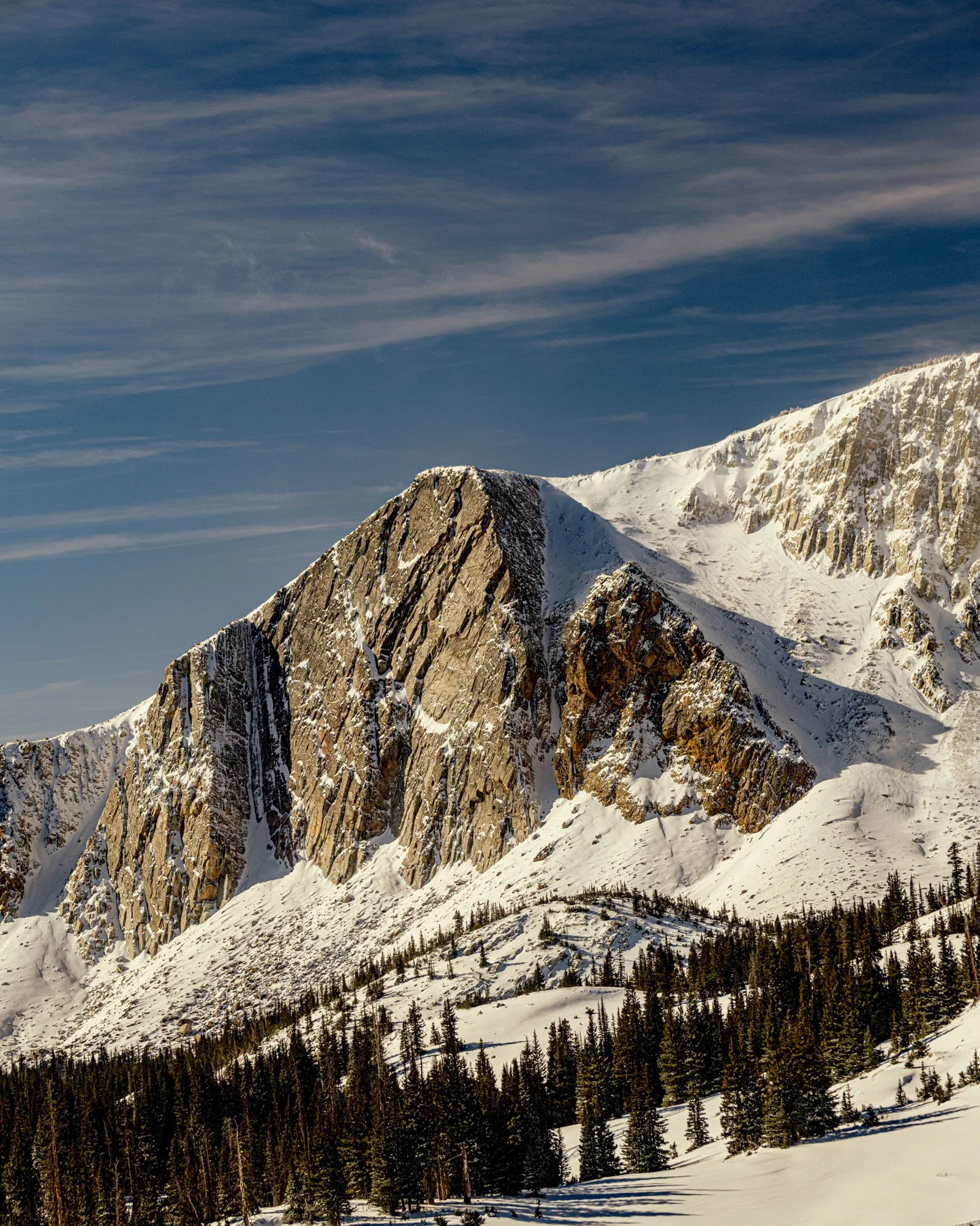 JS_FORA_BRUSH_CREEK_24_13 copy.jpg