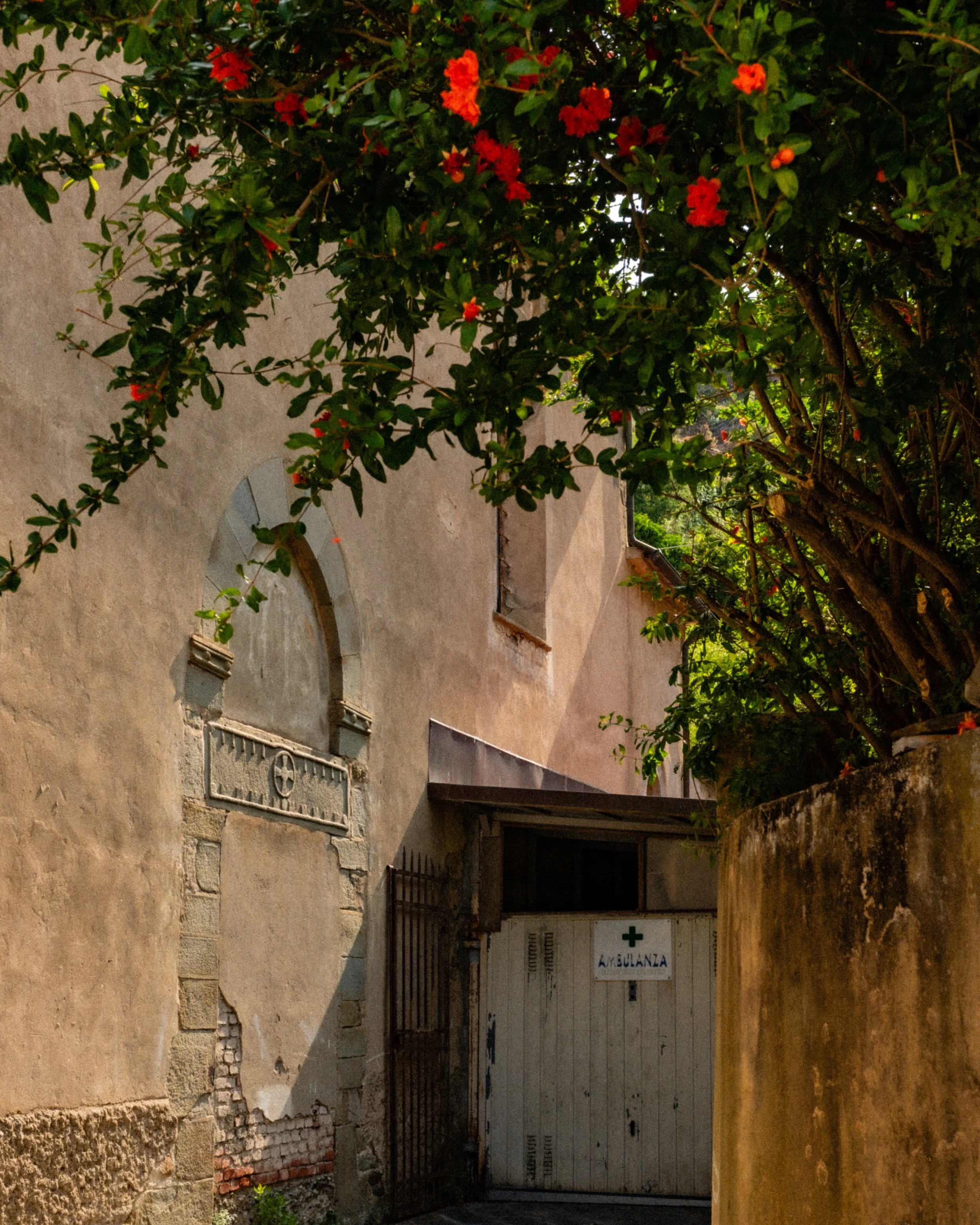 Cinque Terre street.jpg