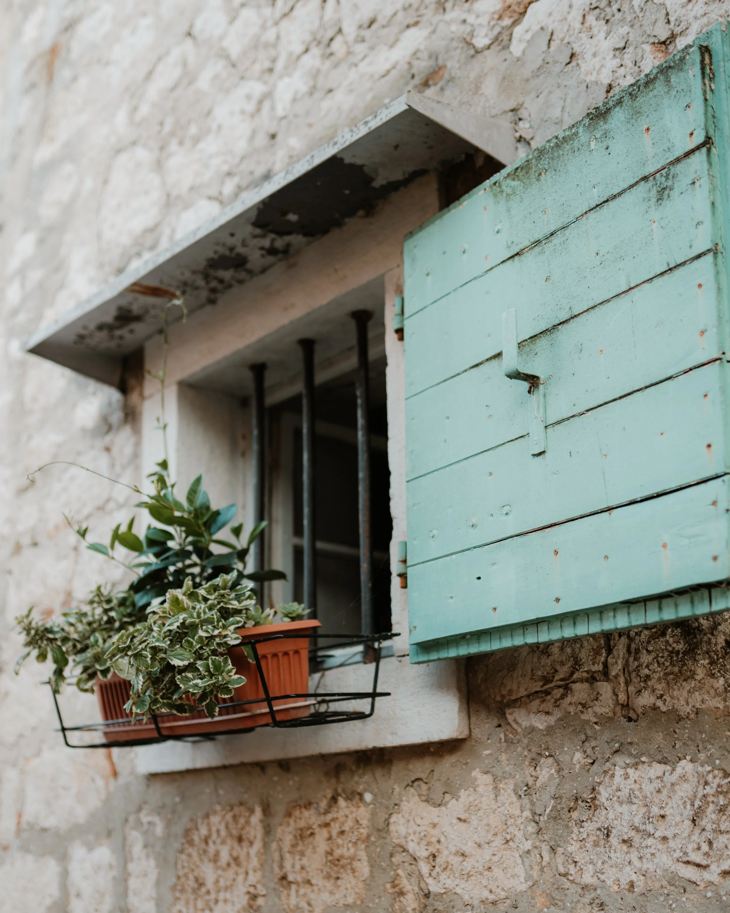 Cute windows in Istria.jpg