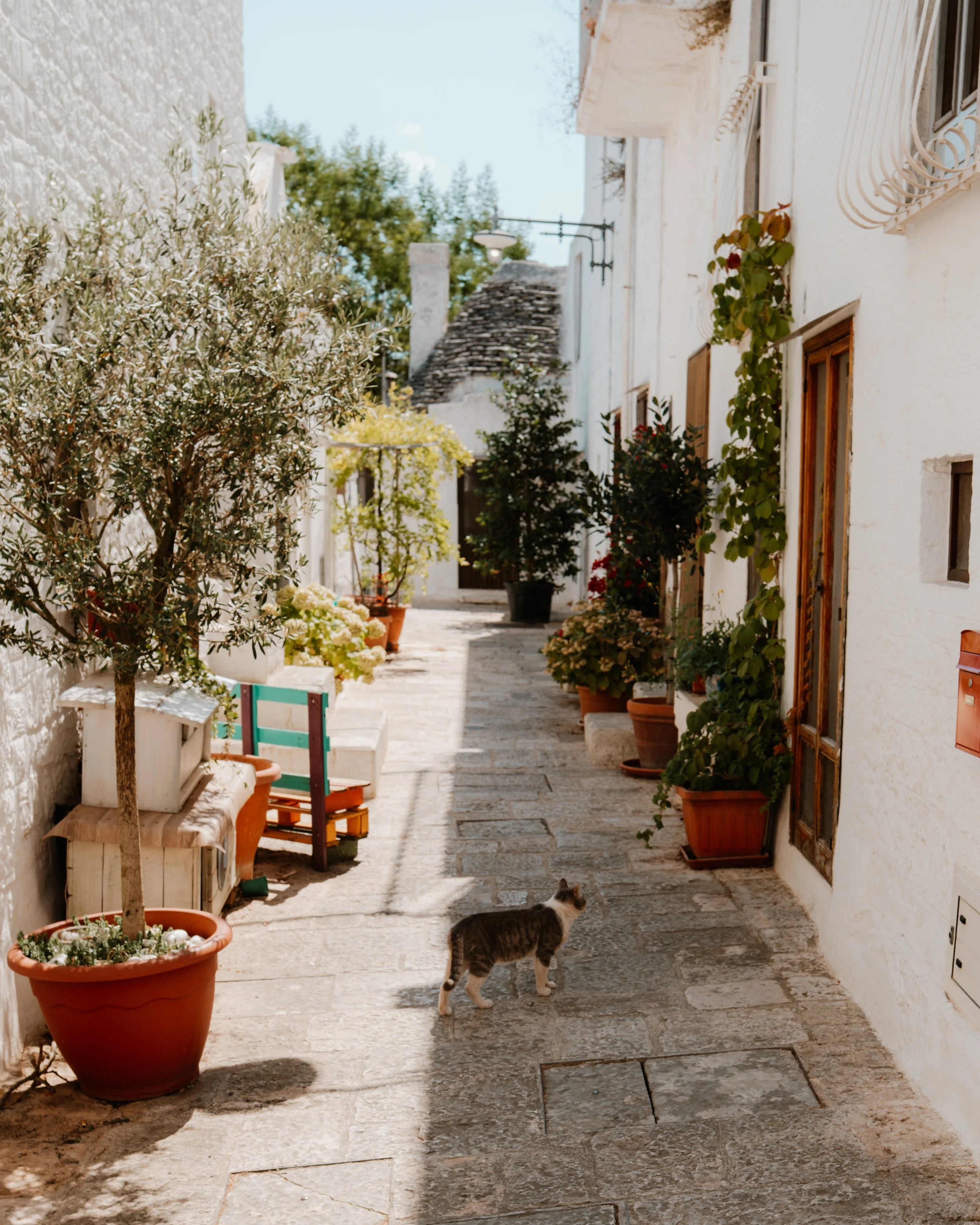Alberobello streets.jpg