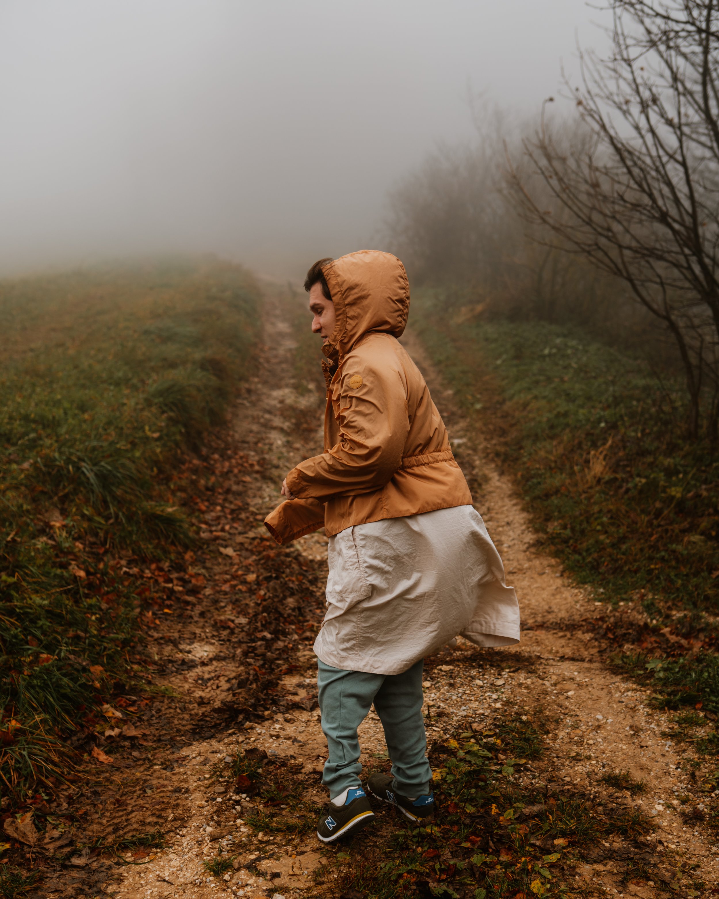 Planina walk.jpg