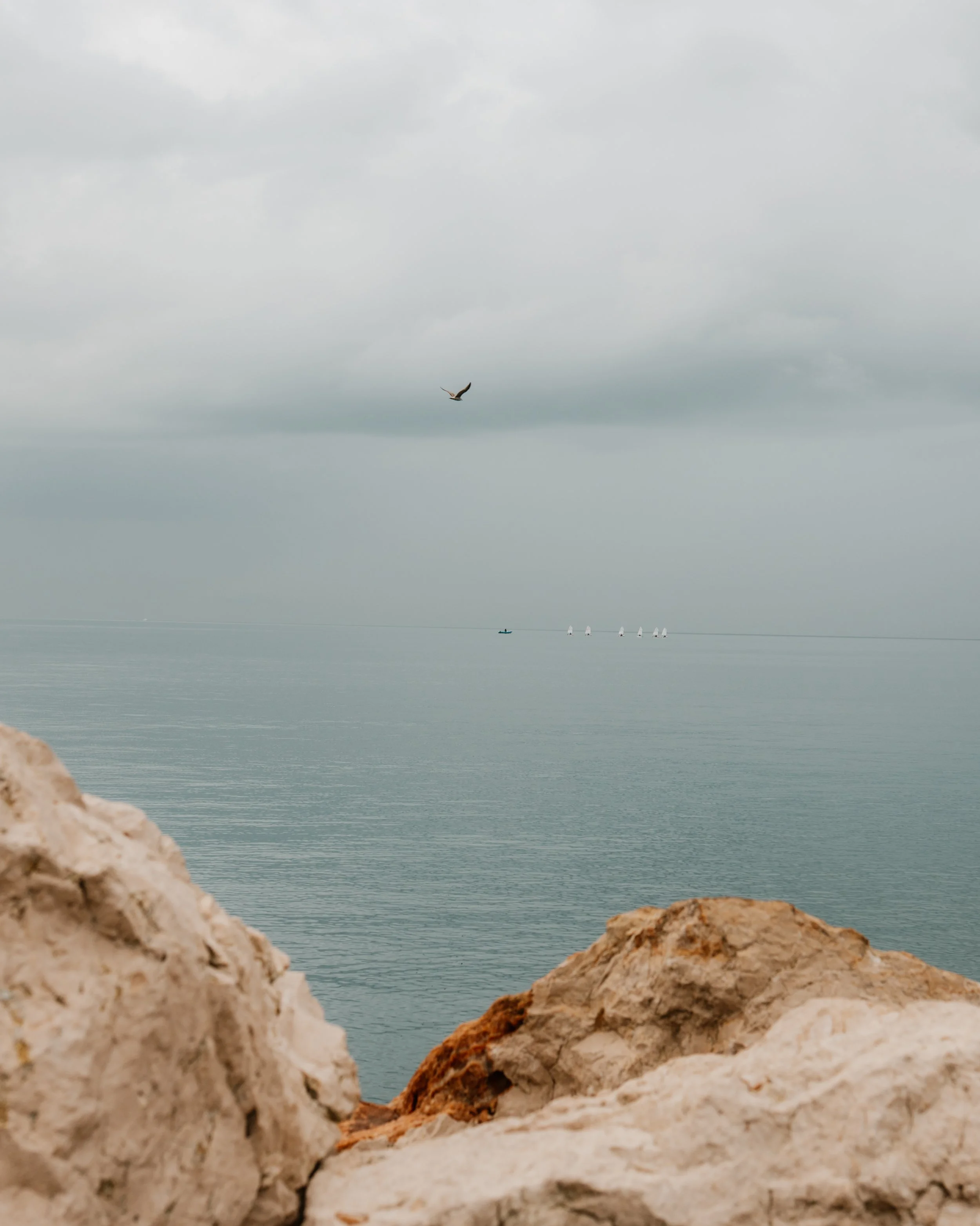 Overcast sky over calm sea with a single bird flying above and small sailboats in the distance, with rocky shoreline in the foreground.