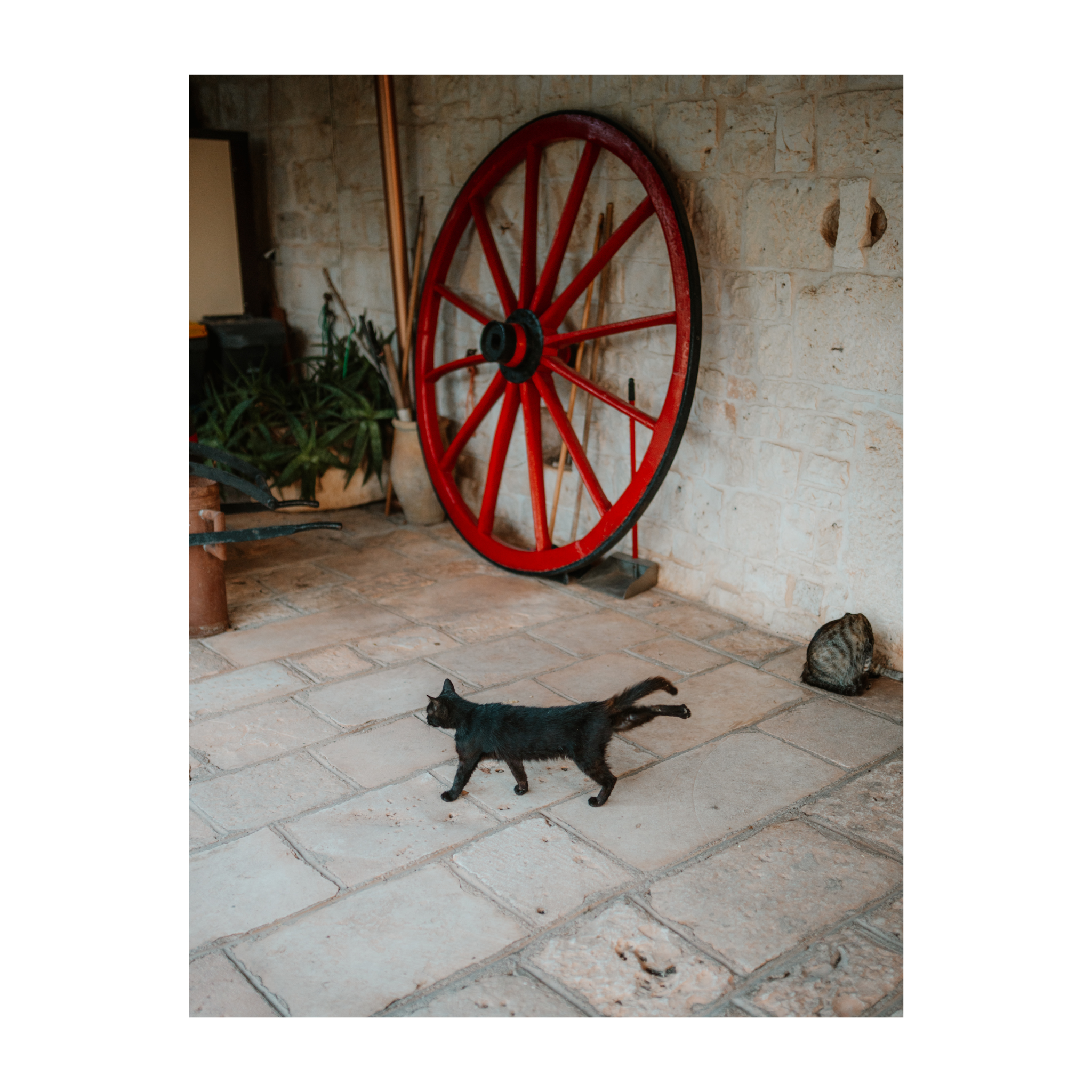 Passing the Red Wheel