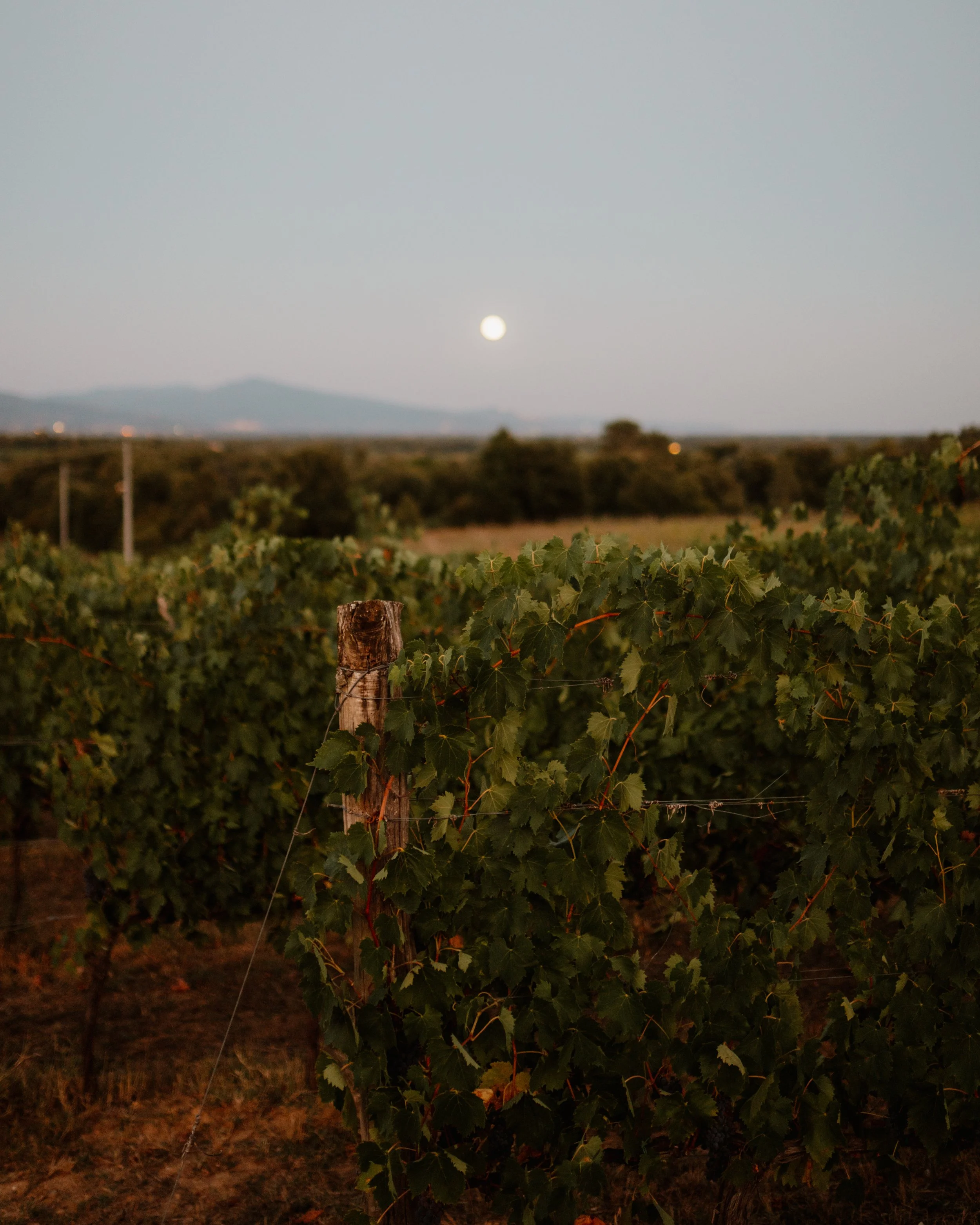 Tuscany sunset.jpg