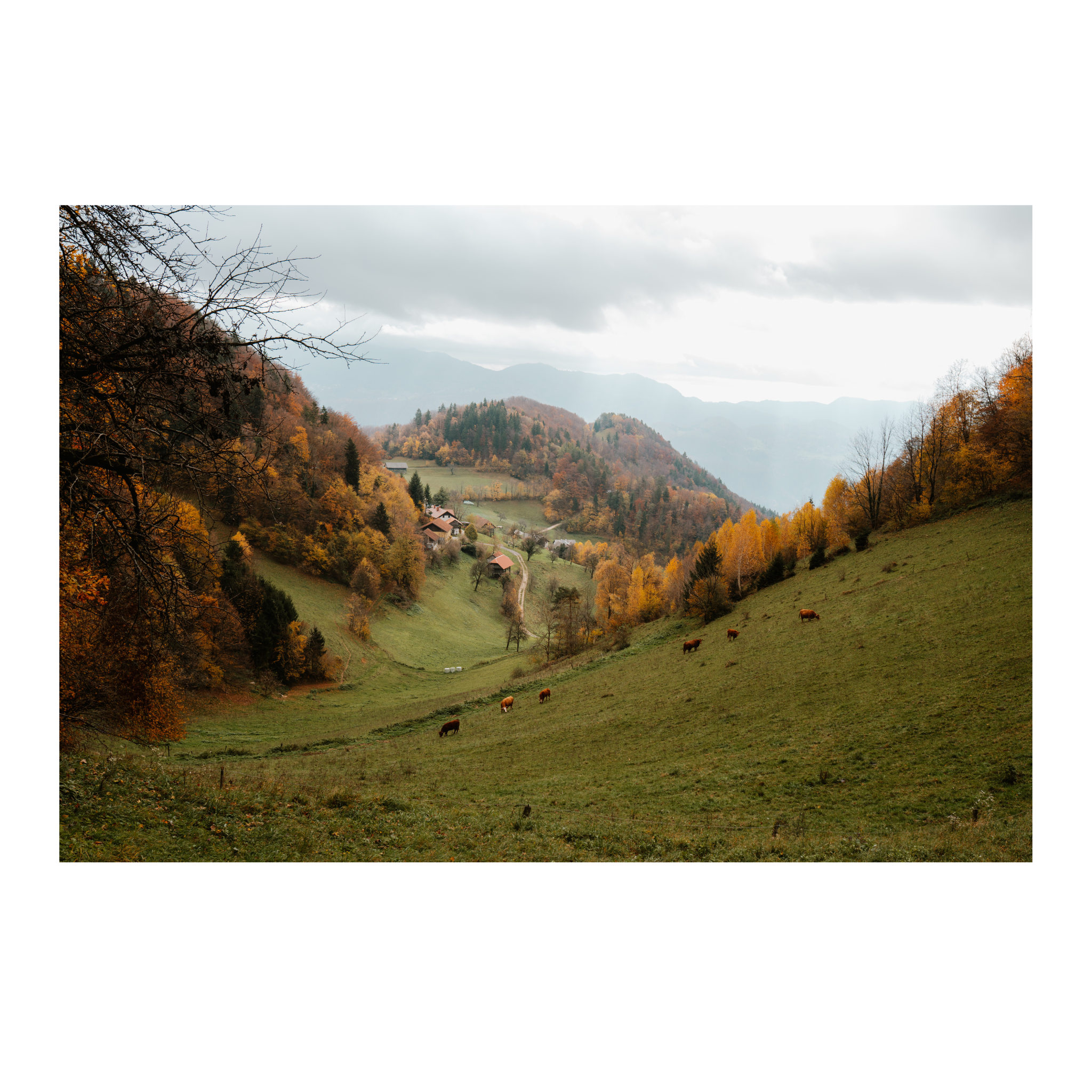 Hills in October