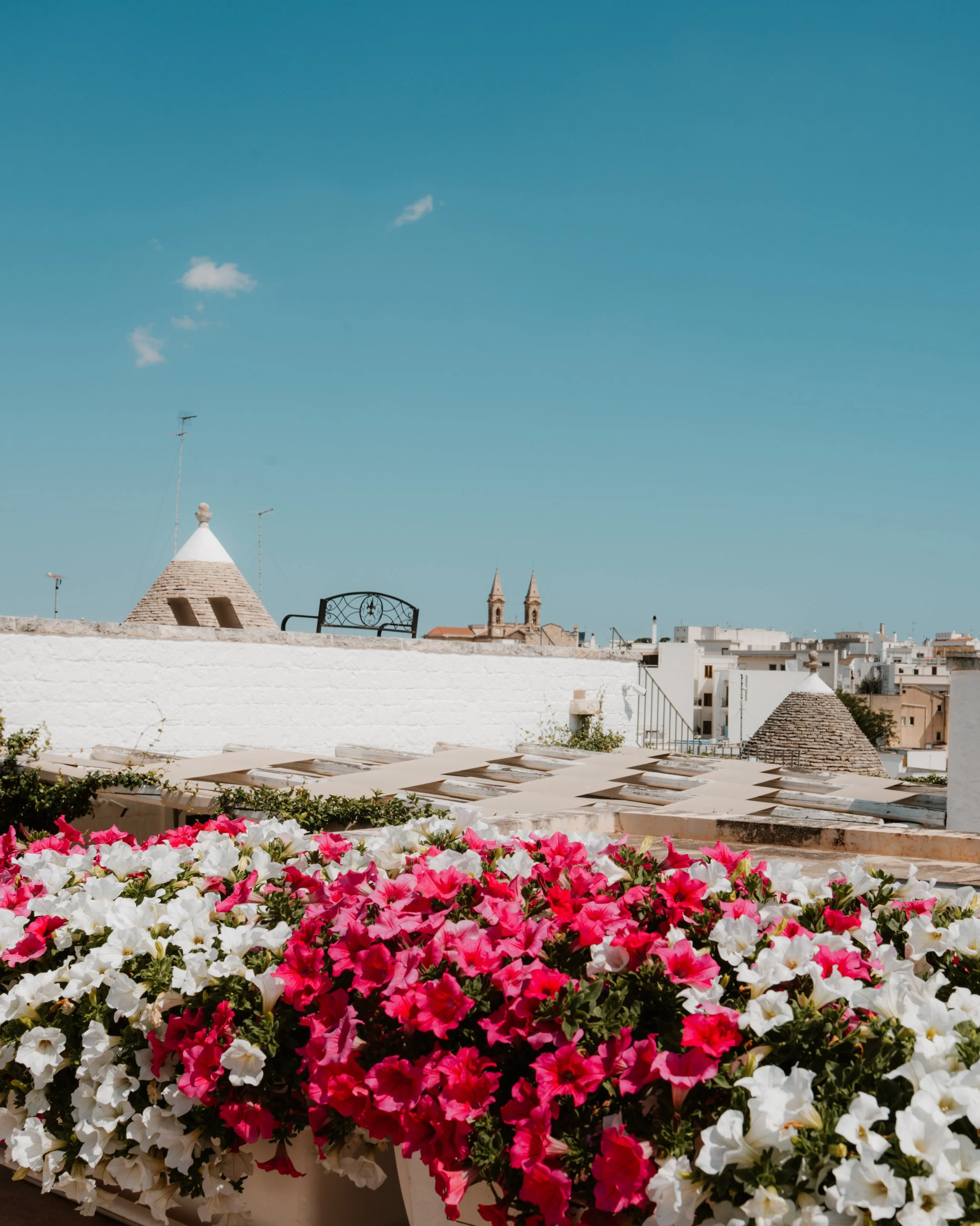 Alberobello flowers.jpg