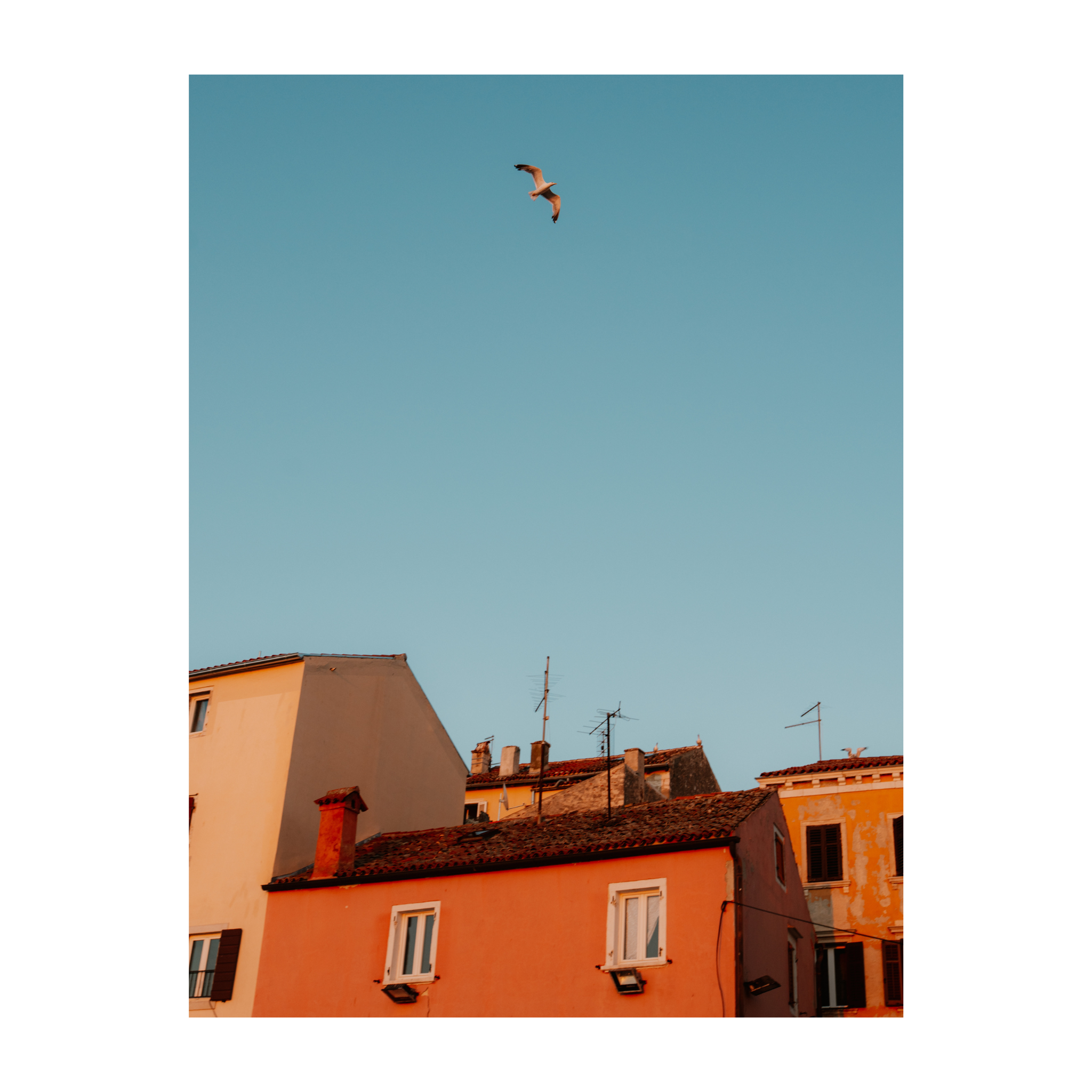 Above the Rooftops
