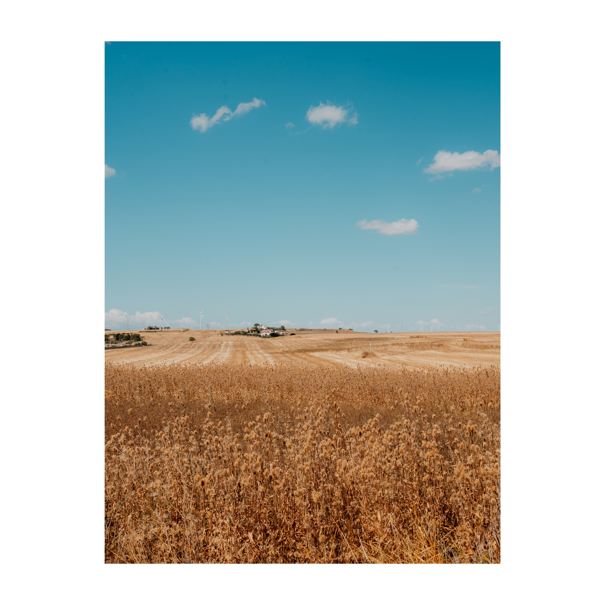 Open Ground