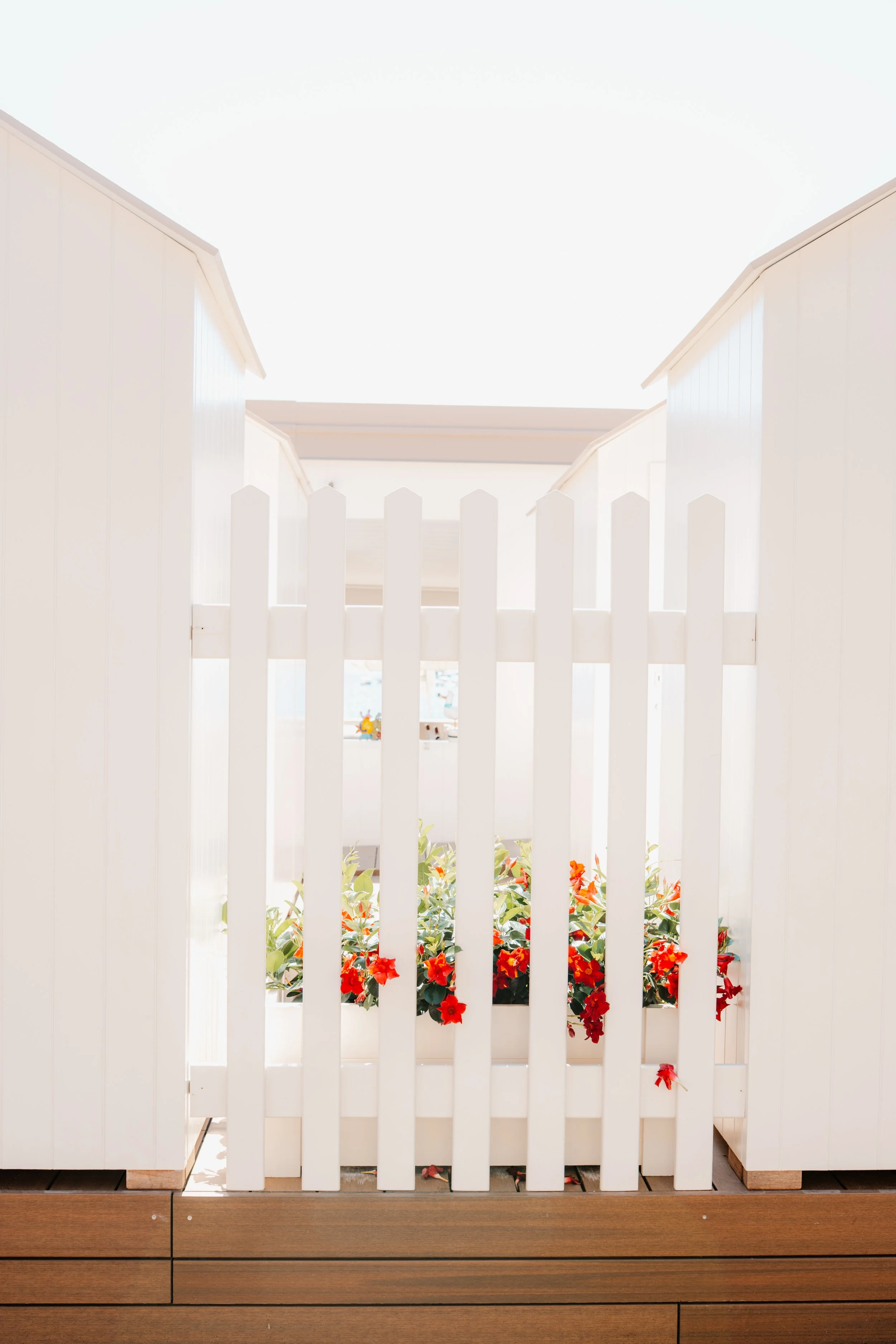 Cinque Terre white fence.jpg