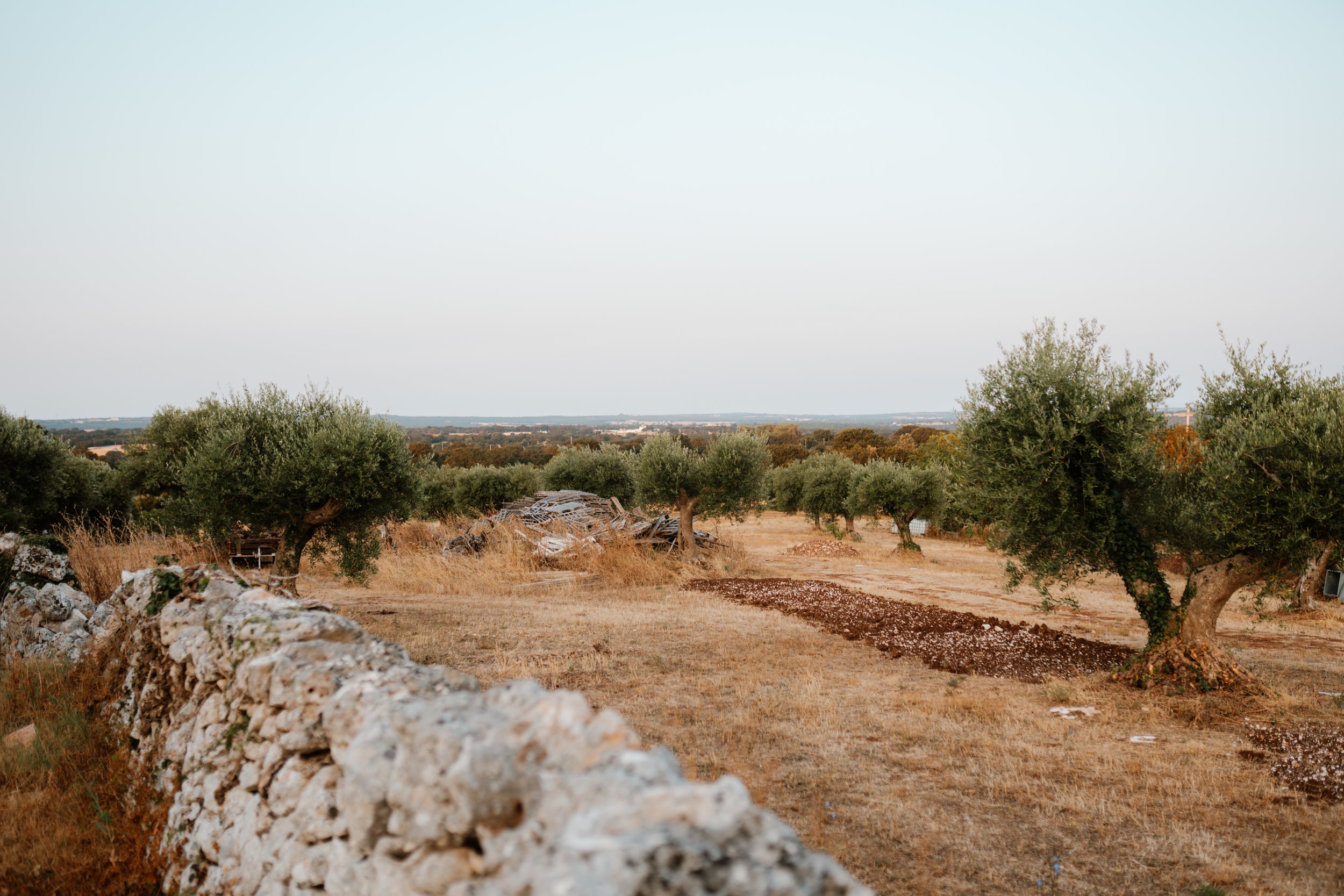 Puglia landscape.jpg