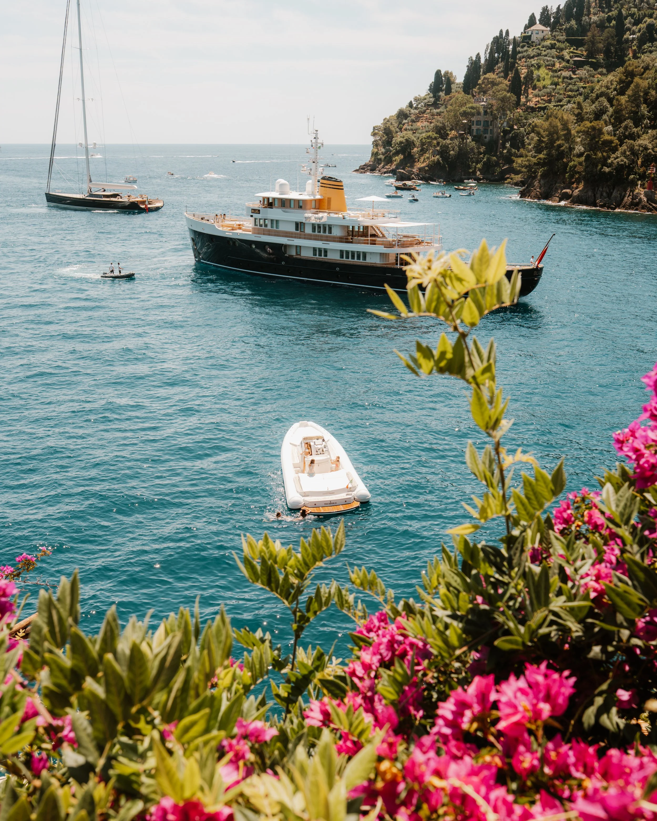 Cinque Terre flower and boats.jpg