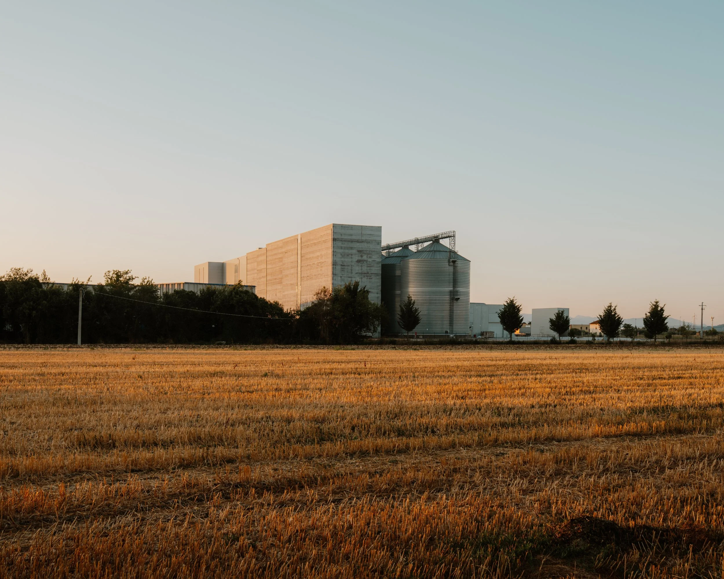 Umbria fields.jpg