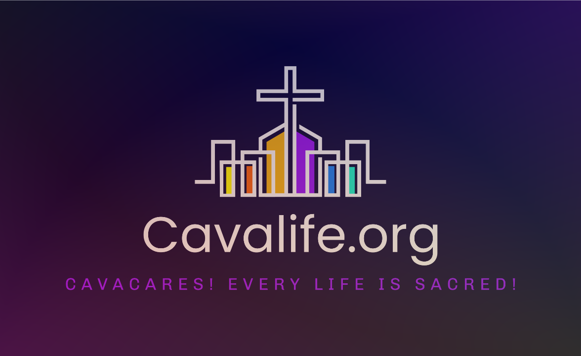 Chic Brain Health Trauma Institute Ins