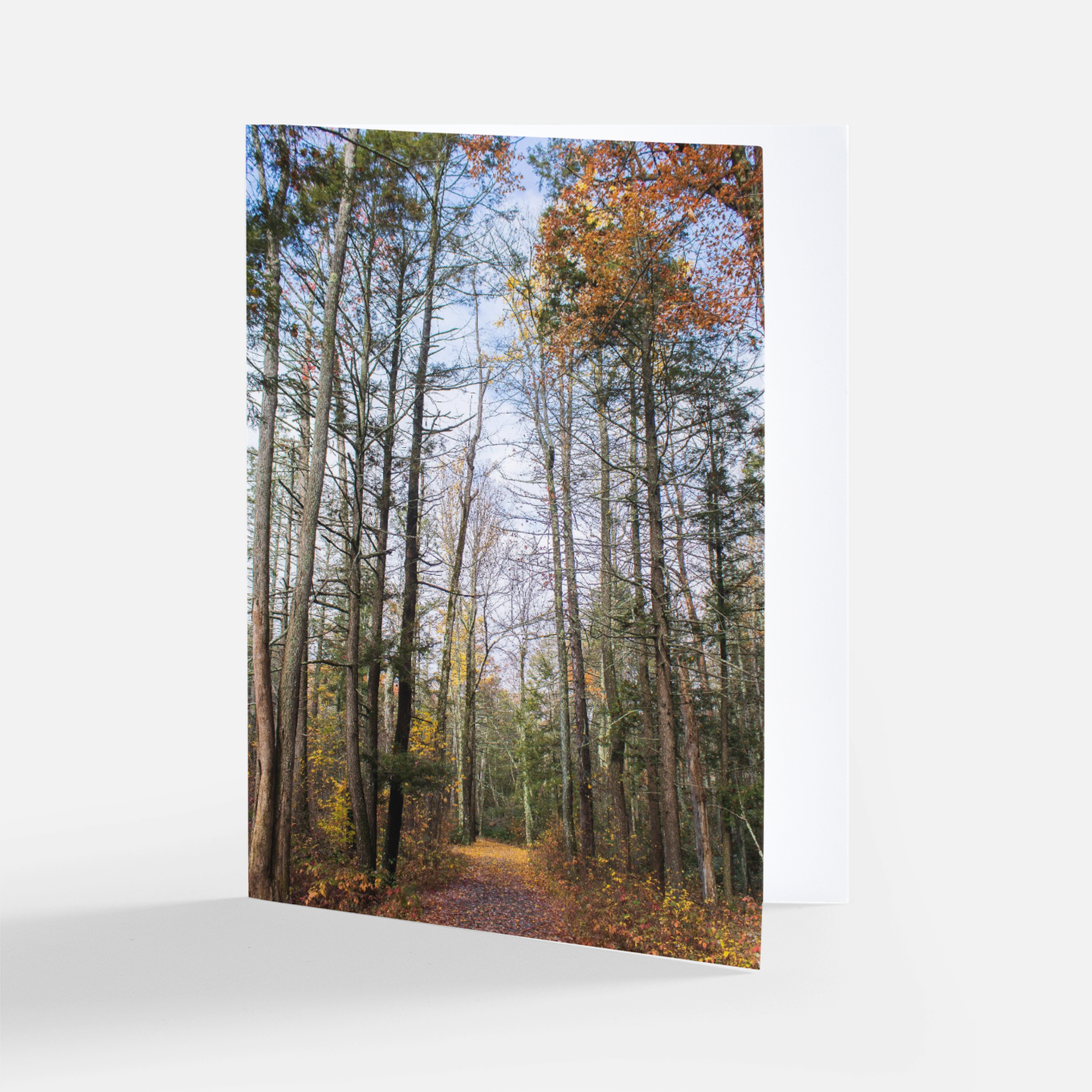 Fall Forest Card.png